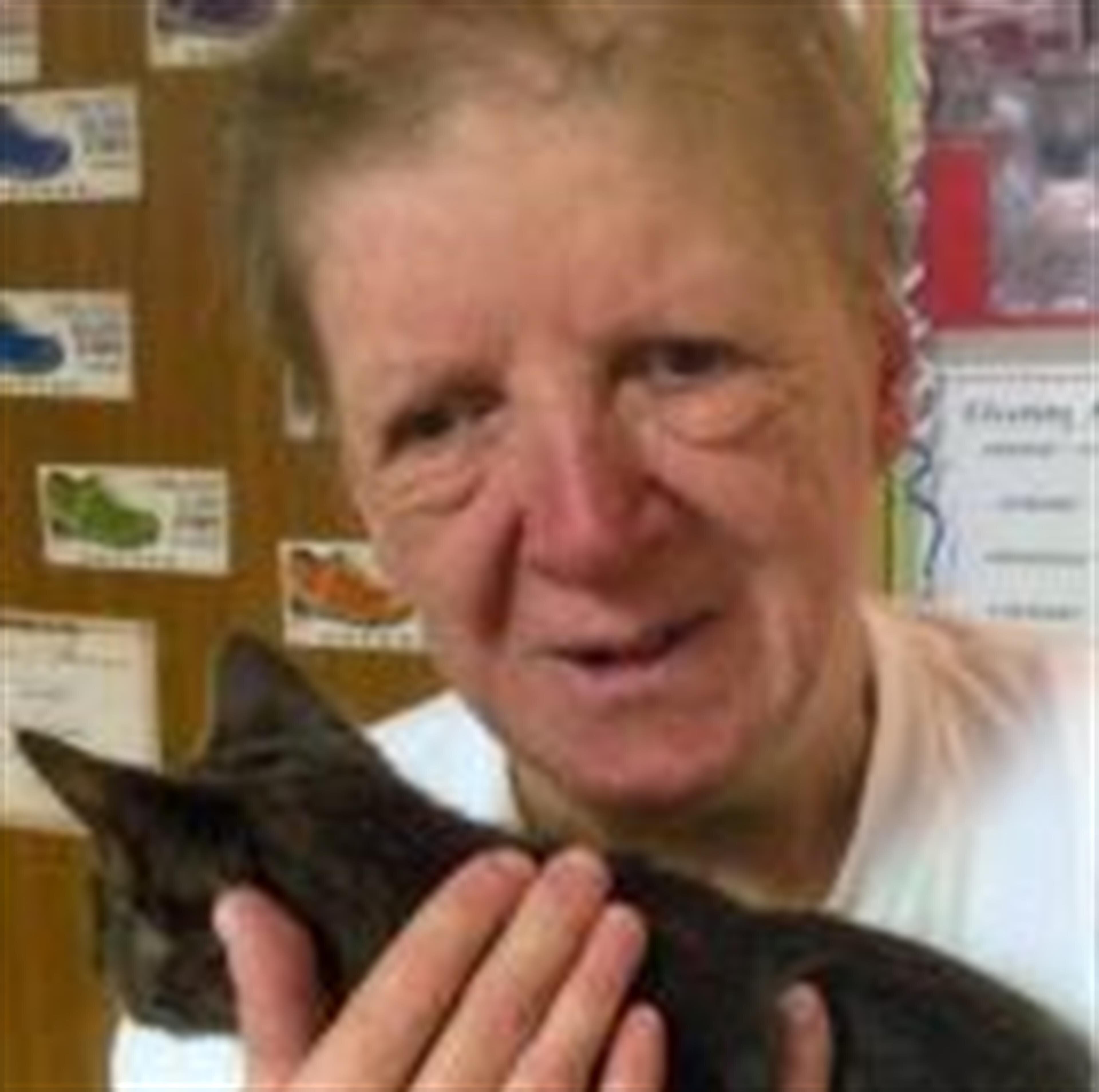 Sharon Neumann (Camdenton)