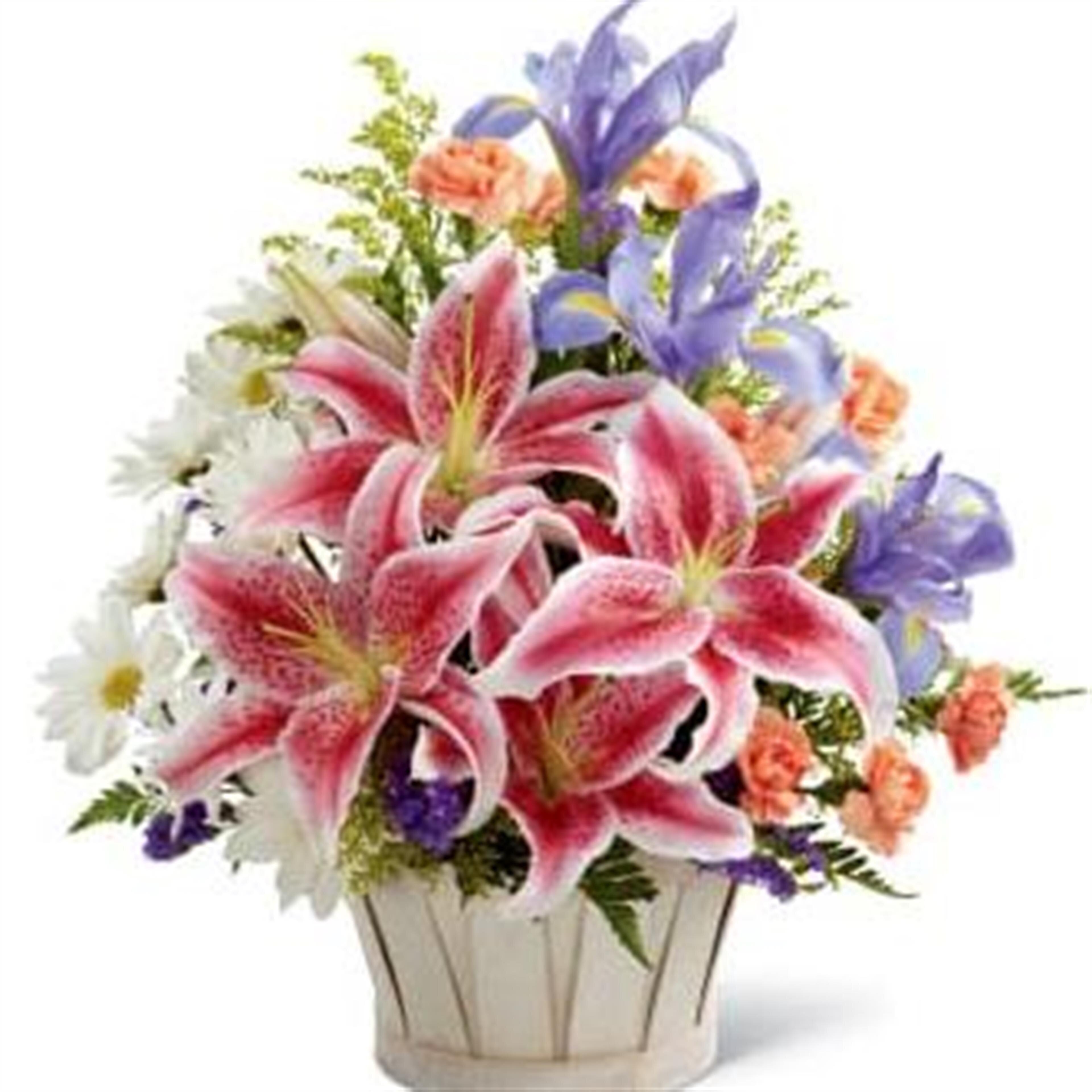 Mary Frances Thornton Johnson