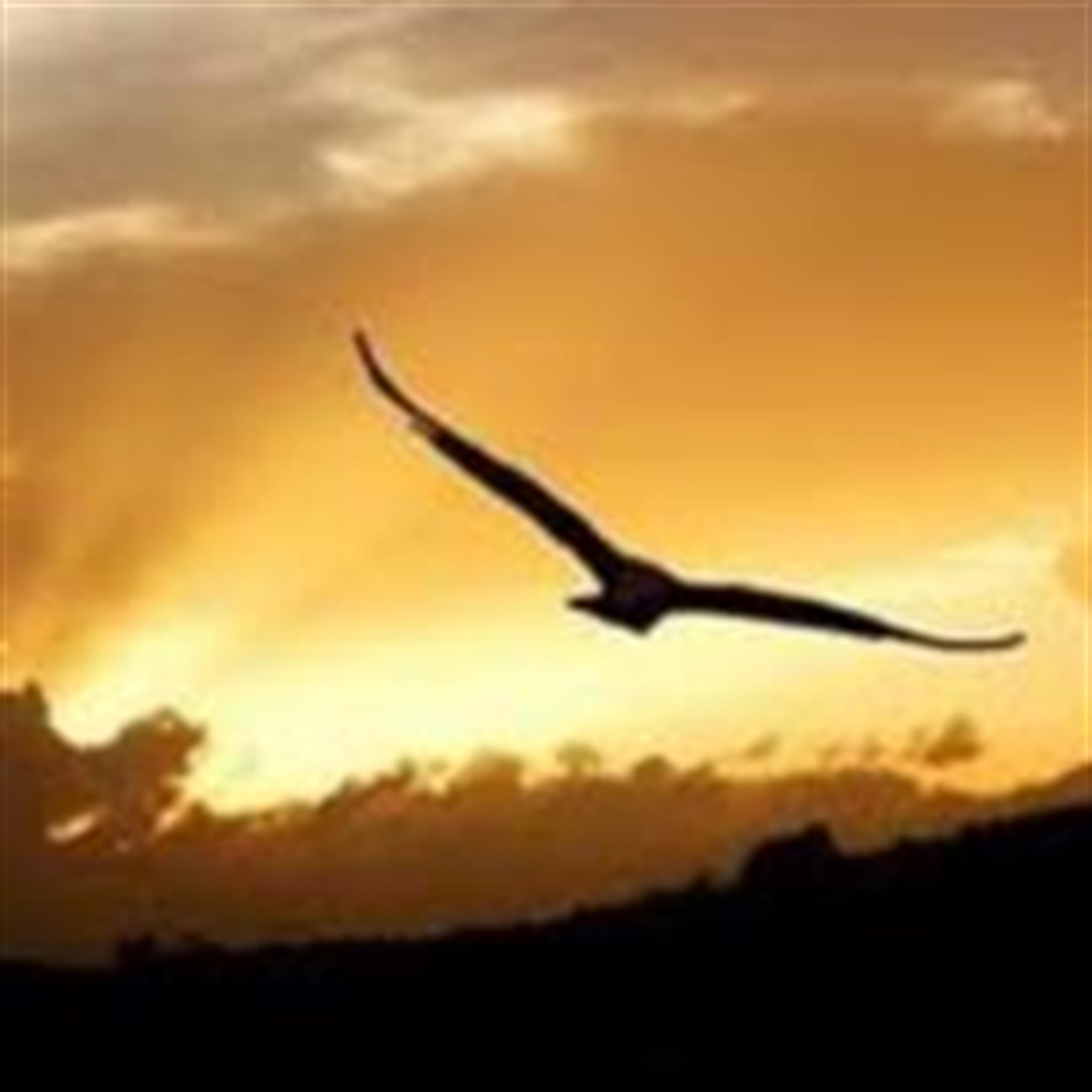 Oscar Dean Dodson (Hartville)