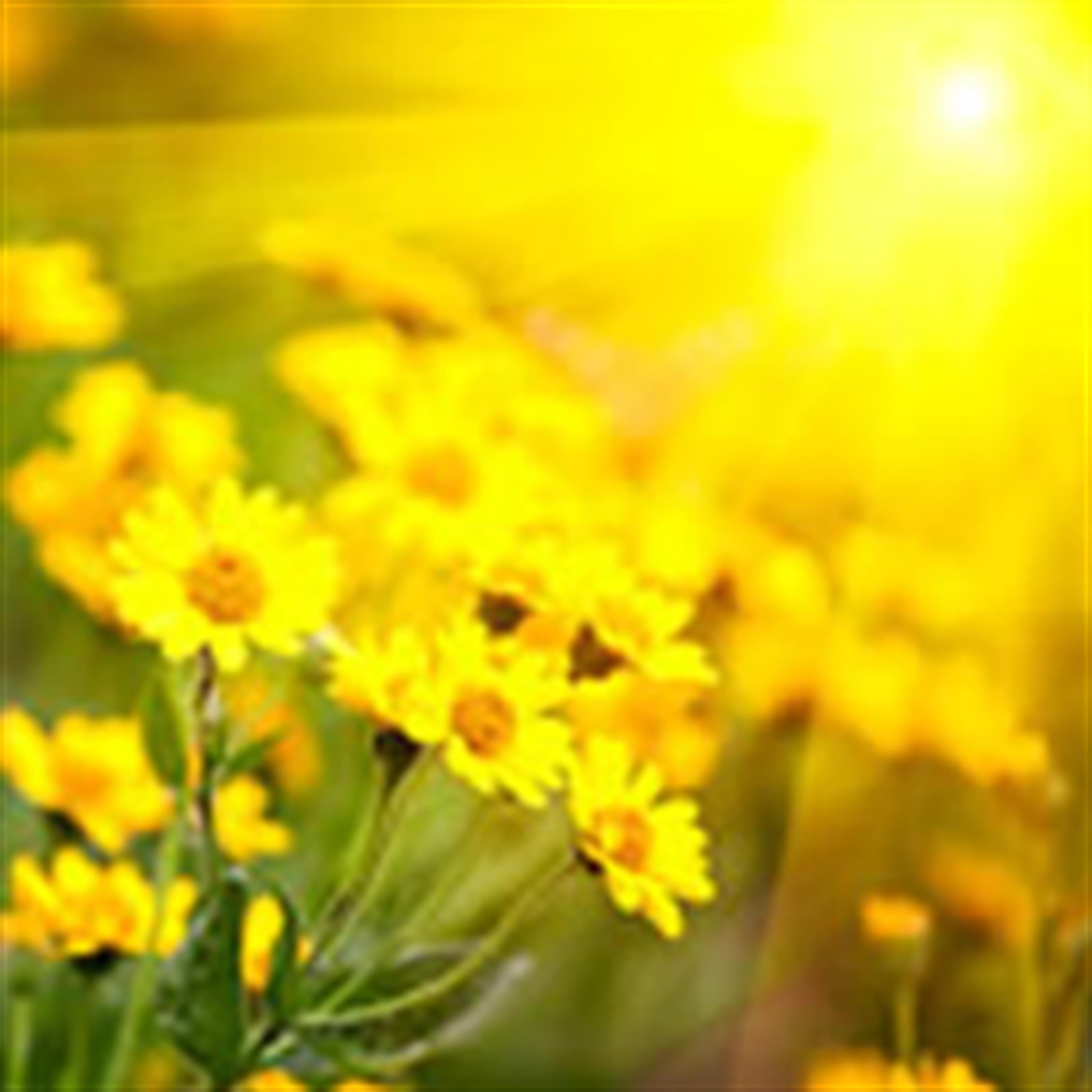 Linda Elizabeth "Betsy" May Scoggins