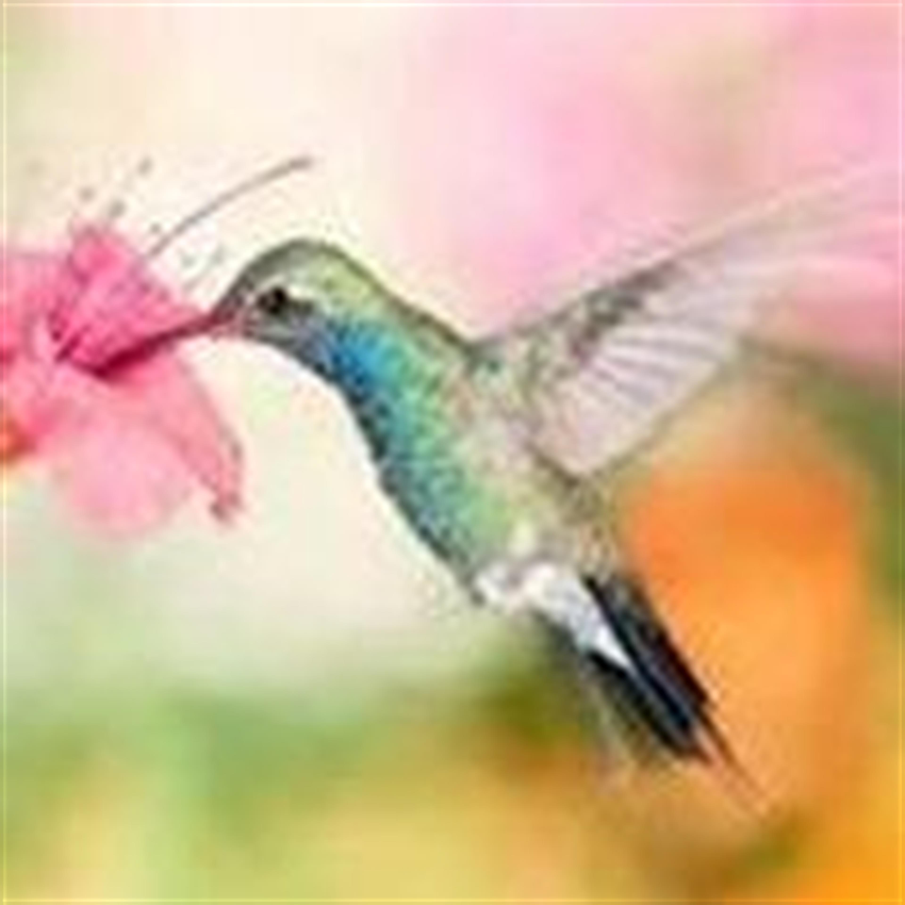 Cassandra "Sandy" Joyce Ware