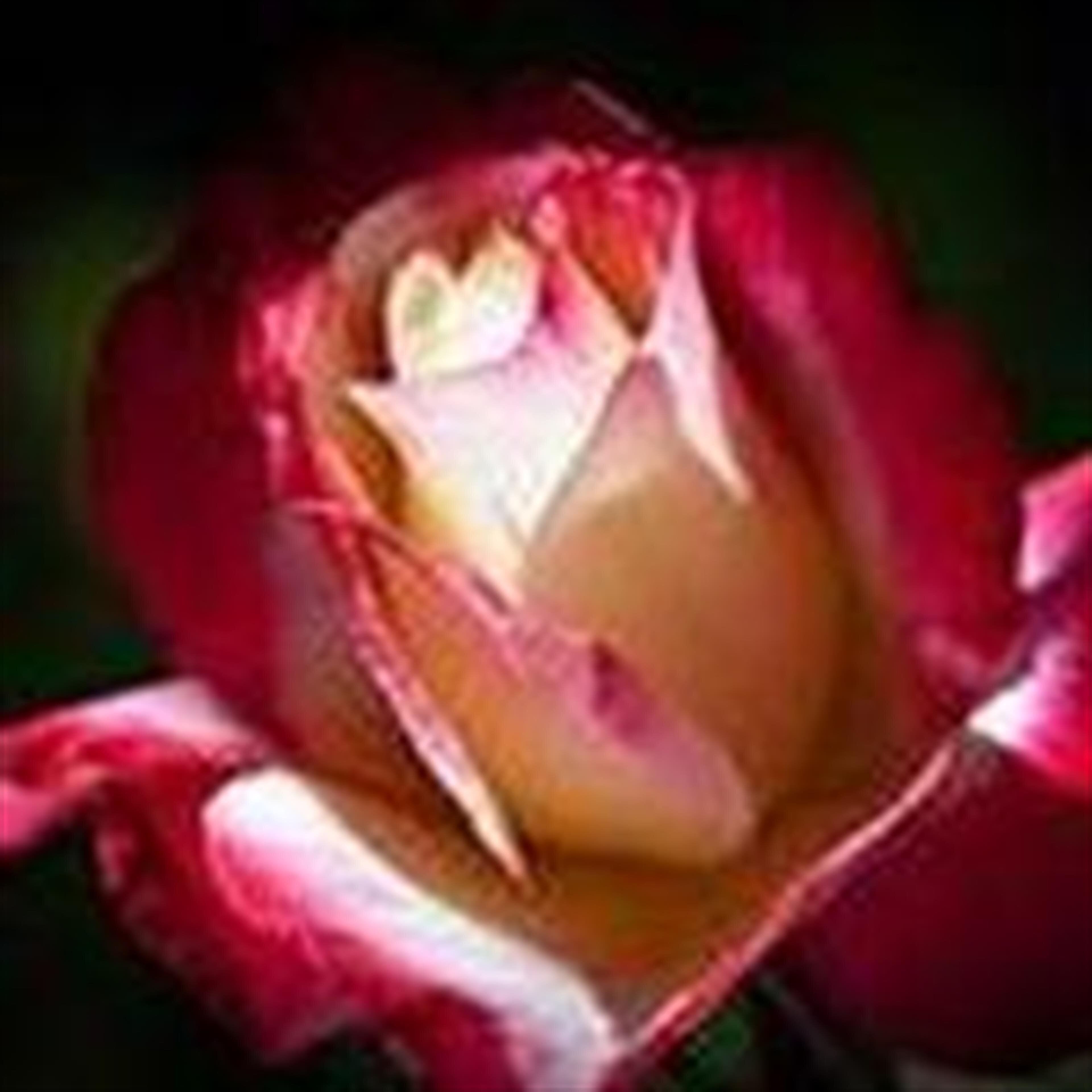 Floye Nichols Herrington