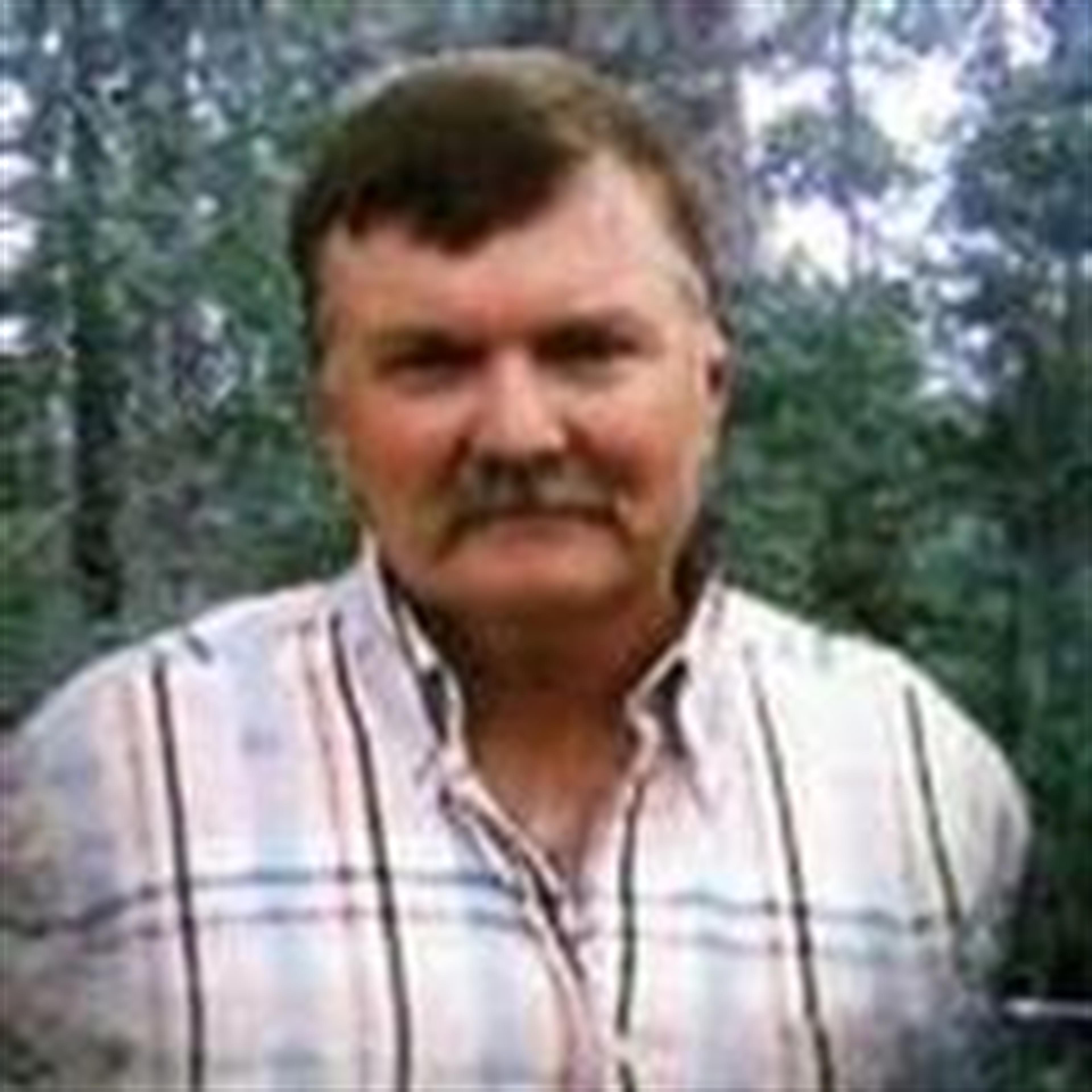 Bruce Wiley Despino