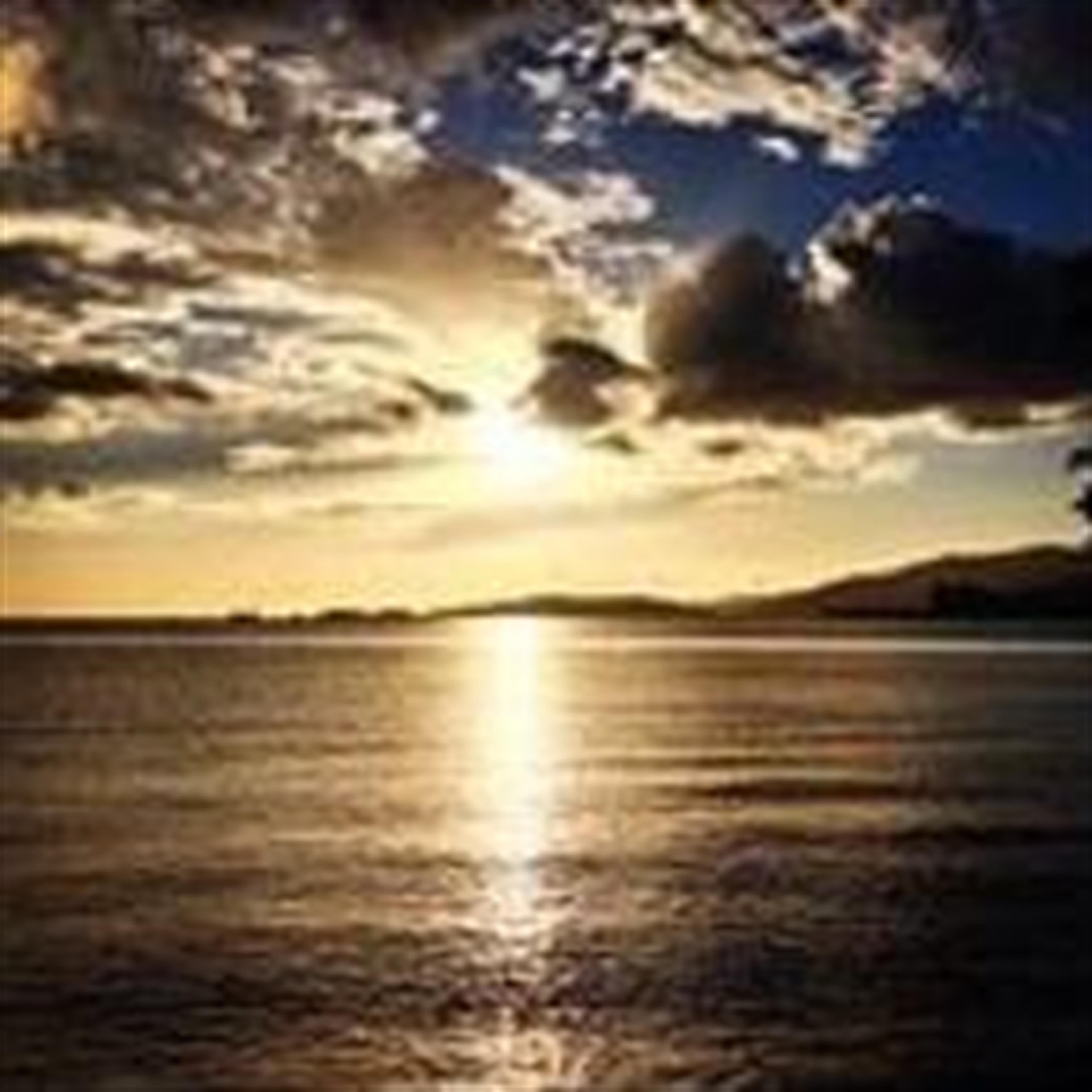 Patricia A Barlow's obituary picture