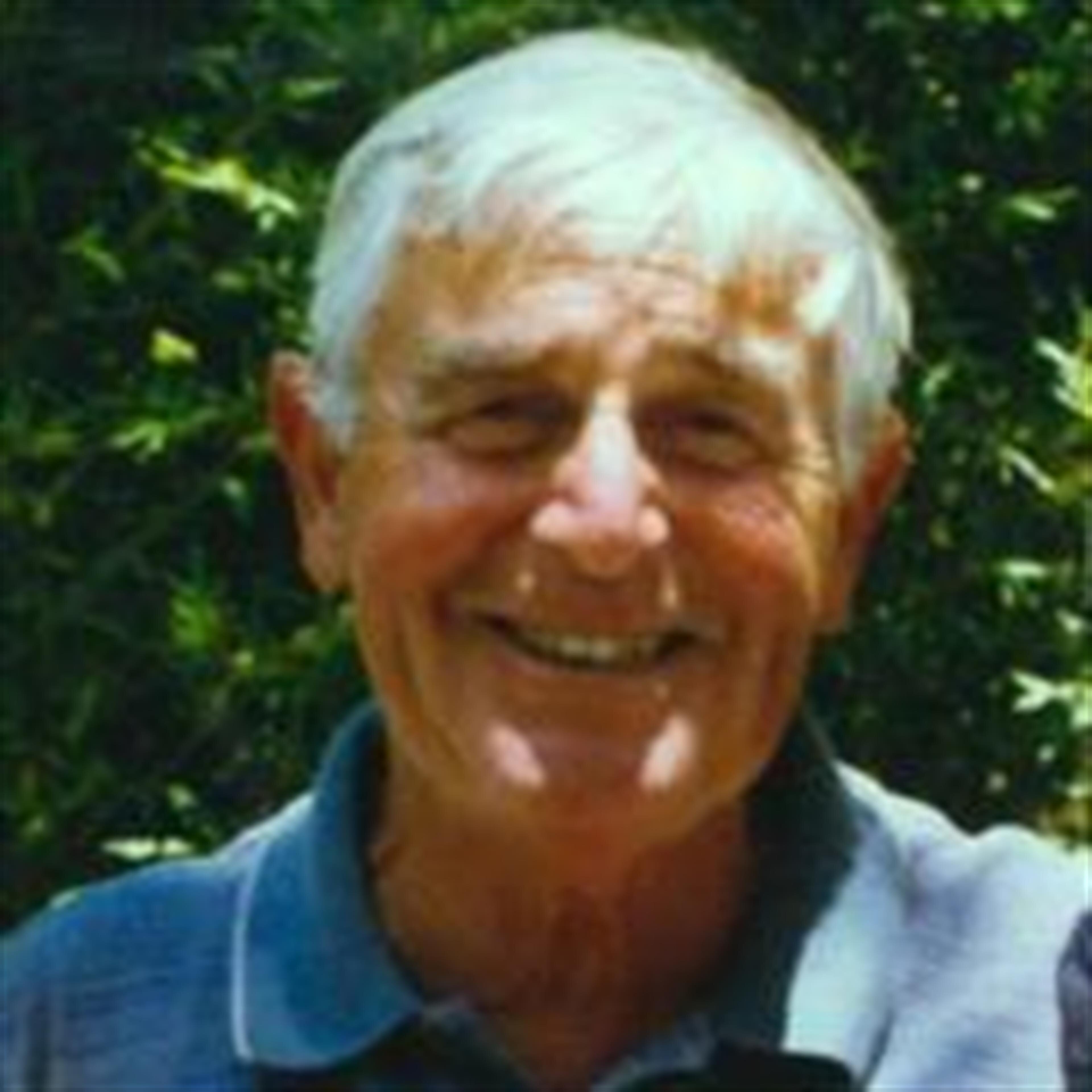 Mario A. Magnani