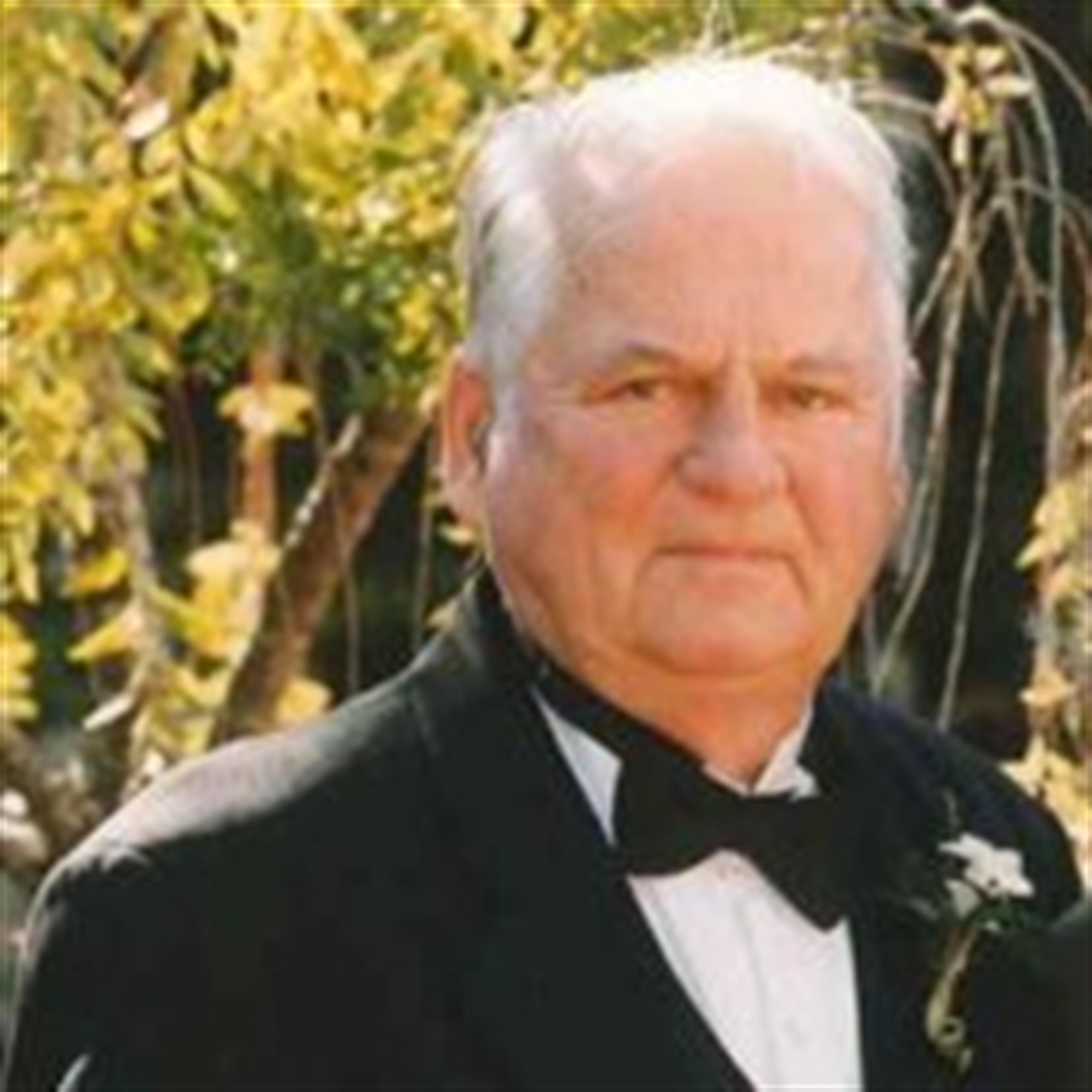 Theodore J. Meiers