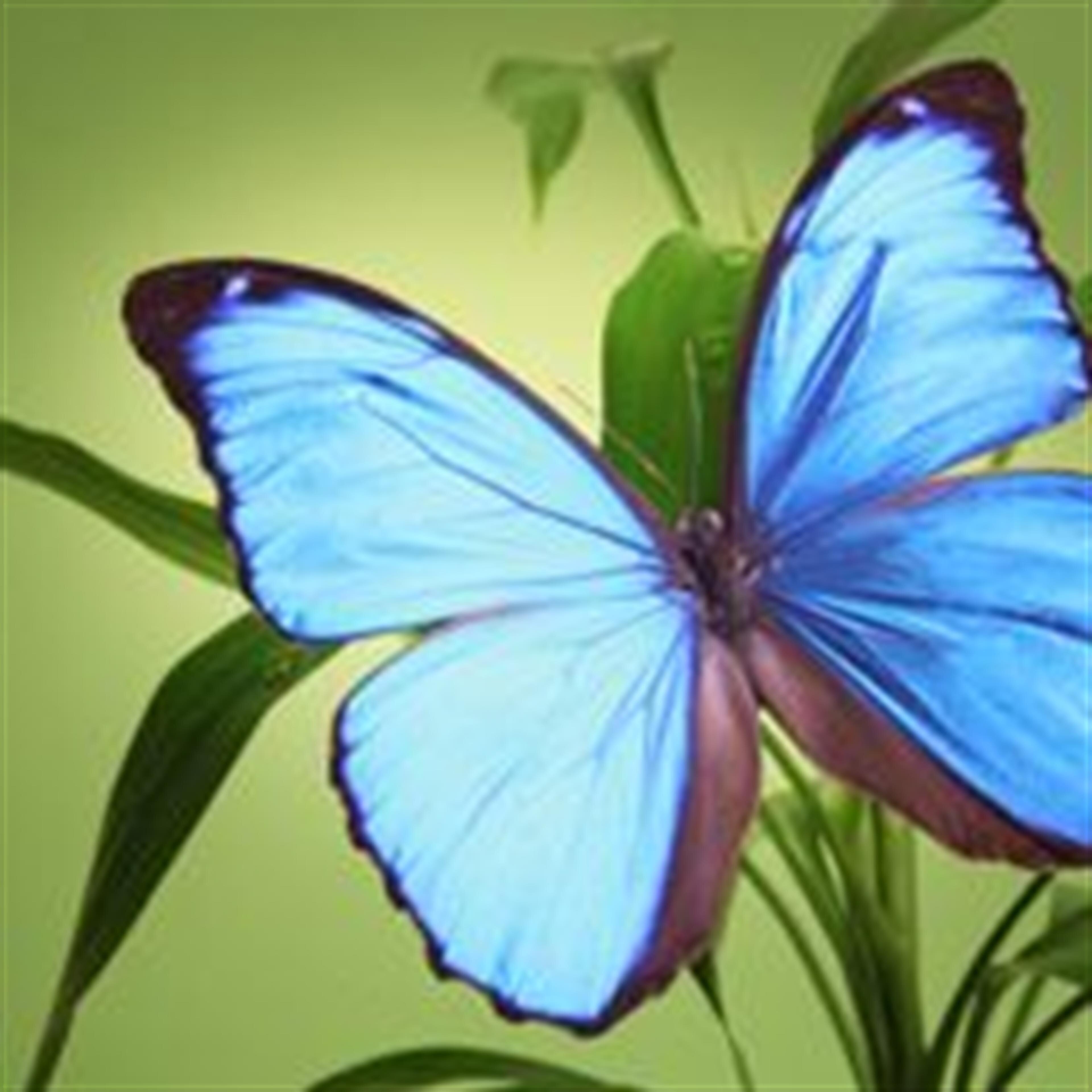 Betty J. Cecil