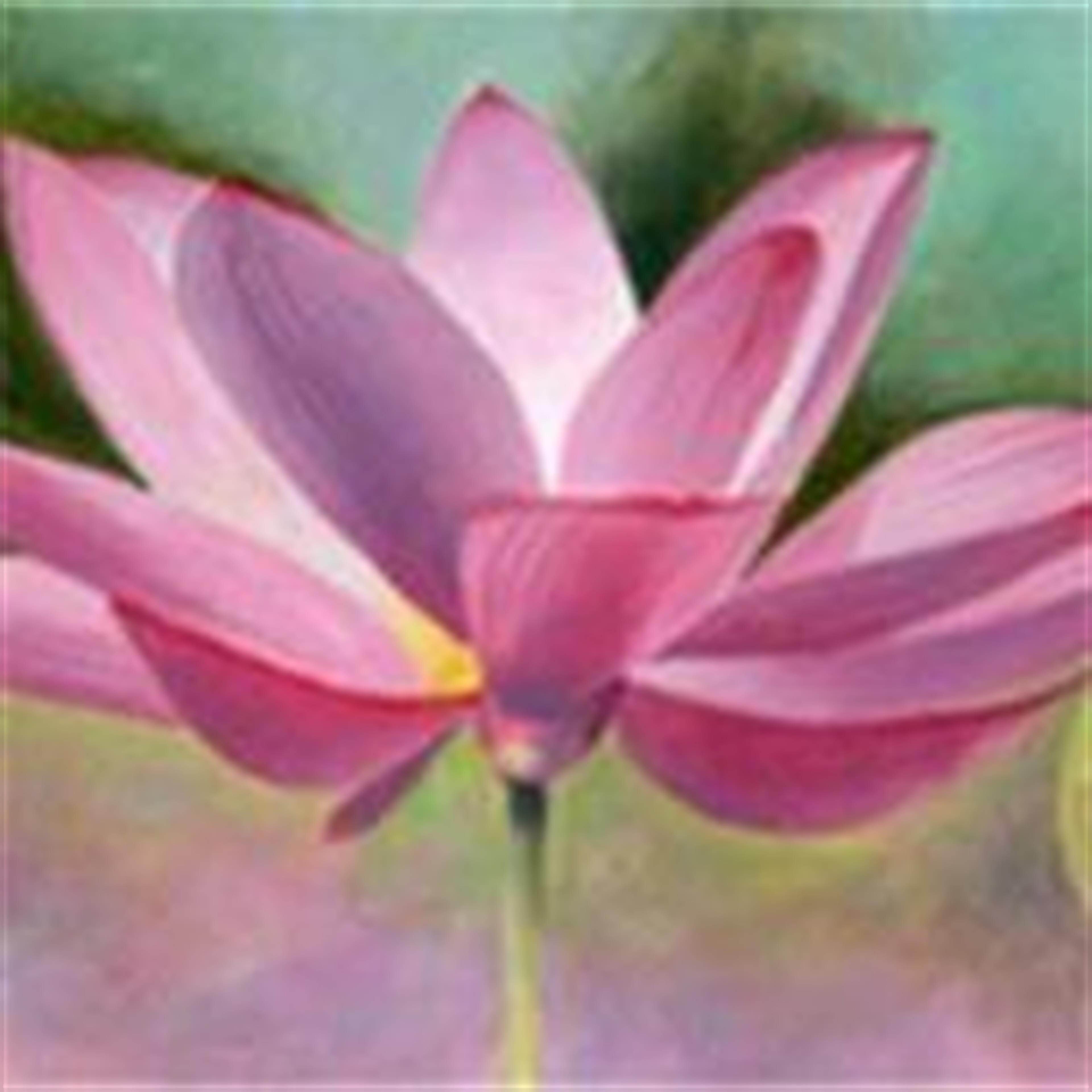 Suchuan L. Wu