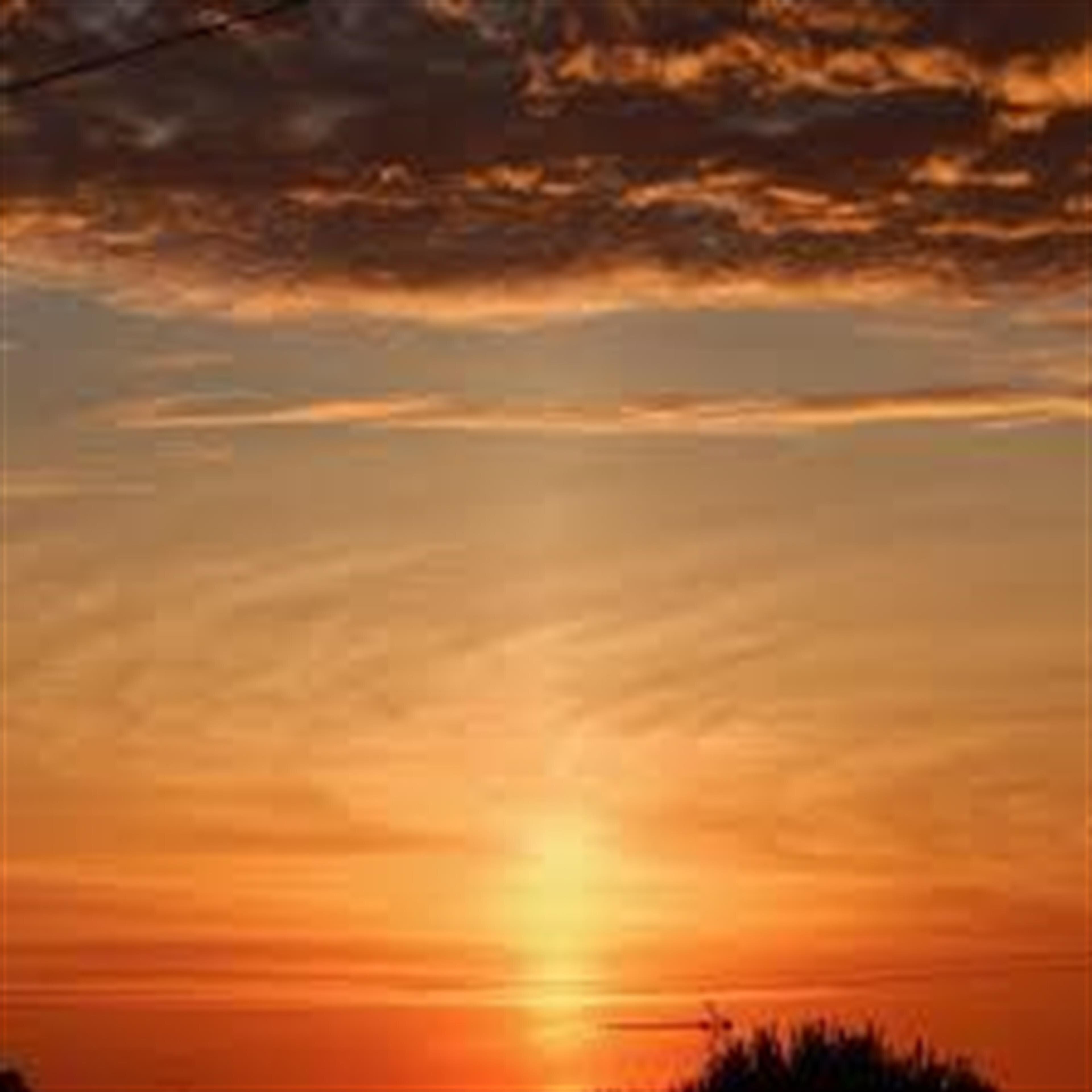 Falon Dawn Miller