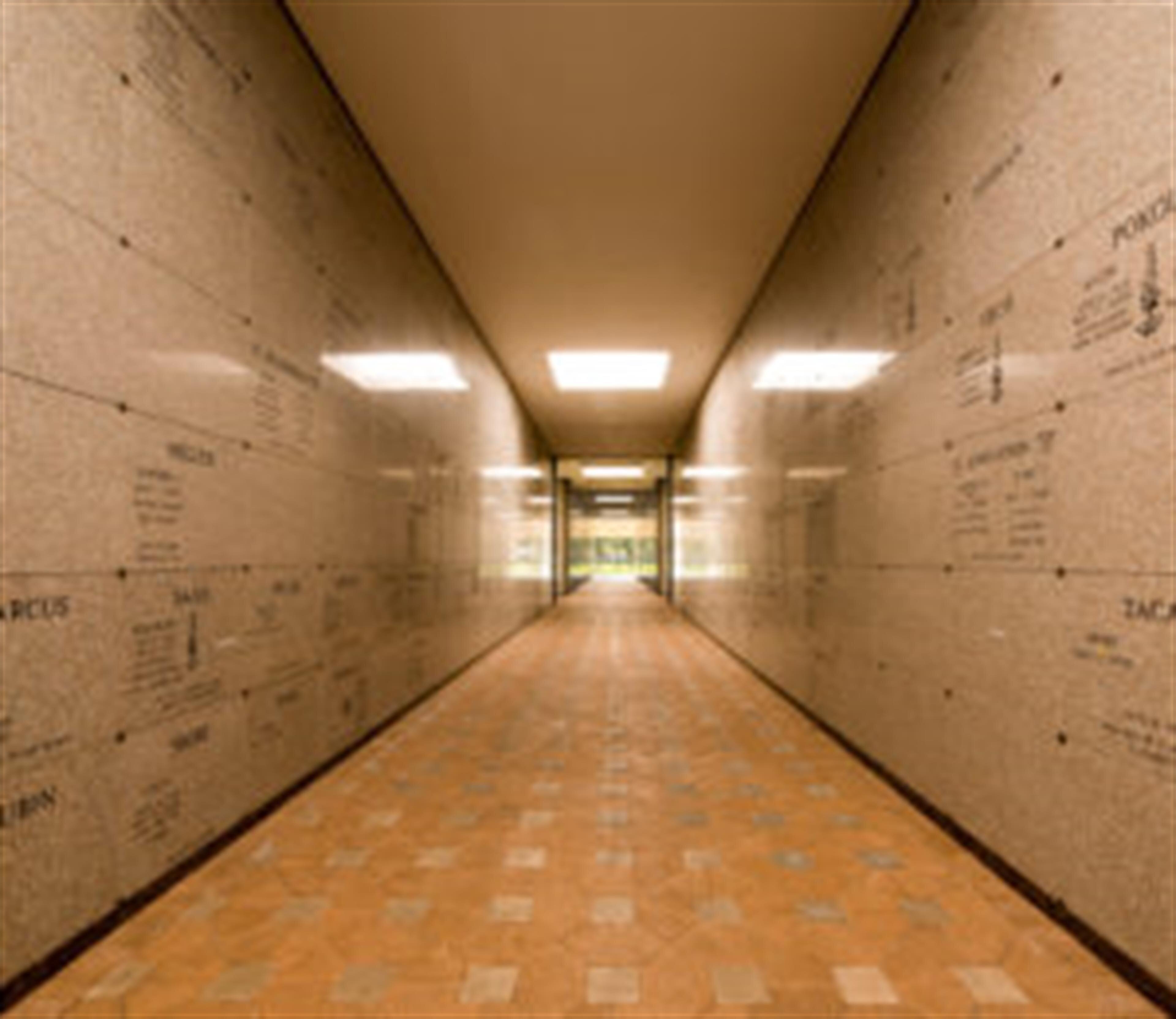 Hillel Schnitzer