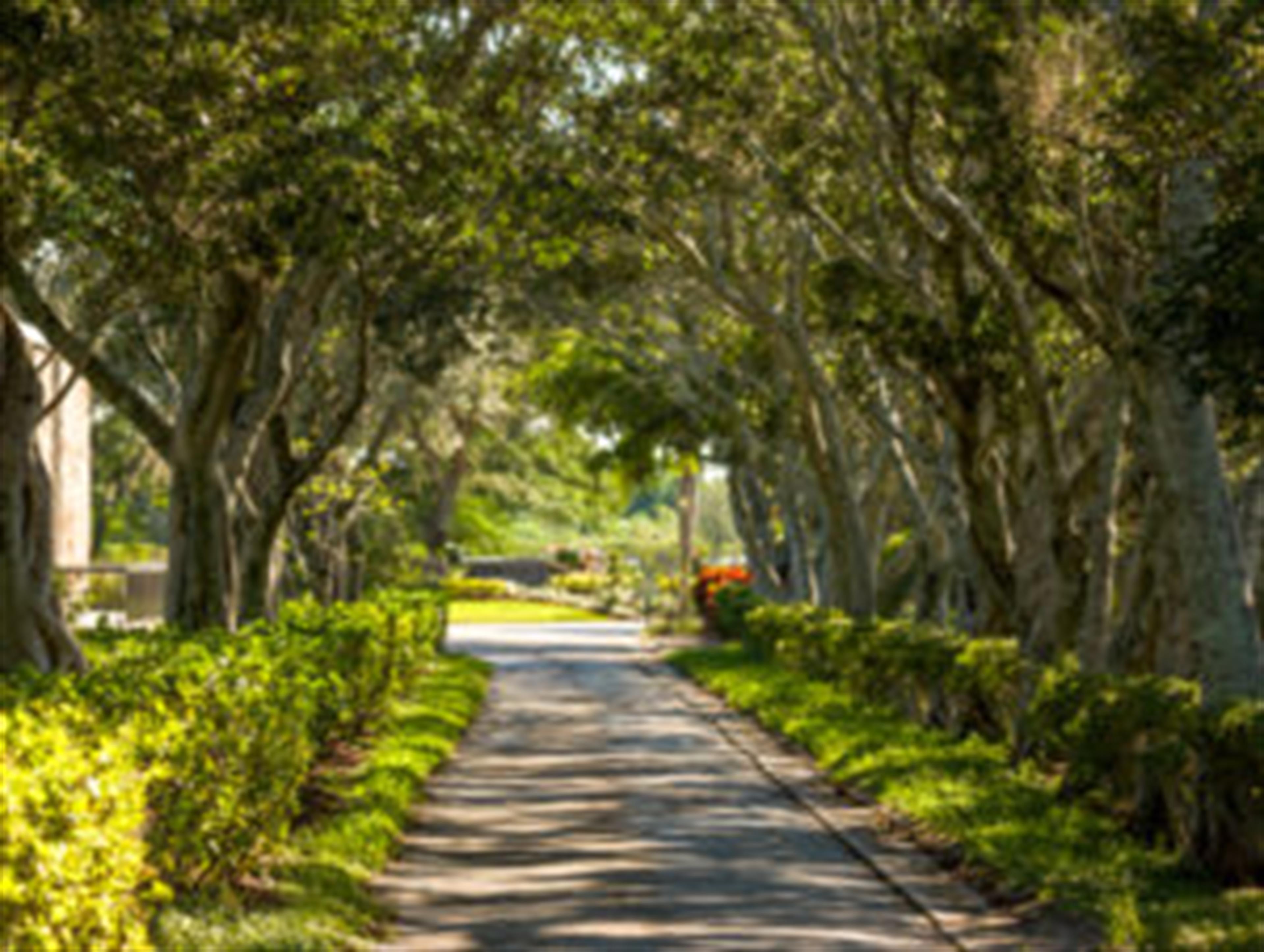 Burton Sidney Stern's obituary picture