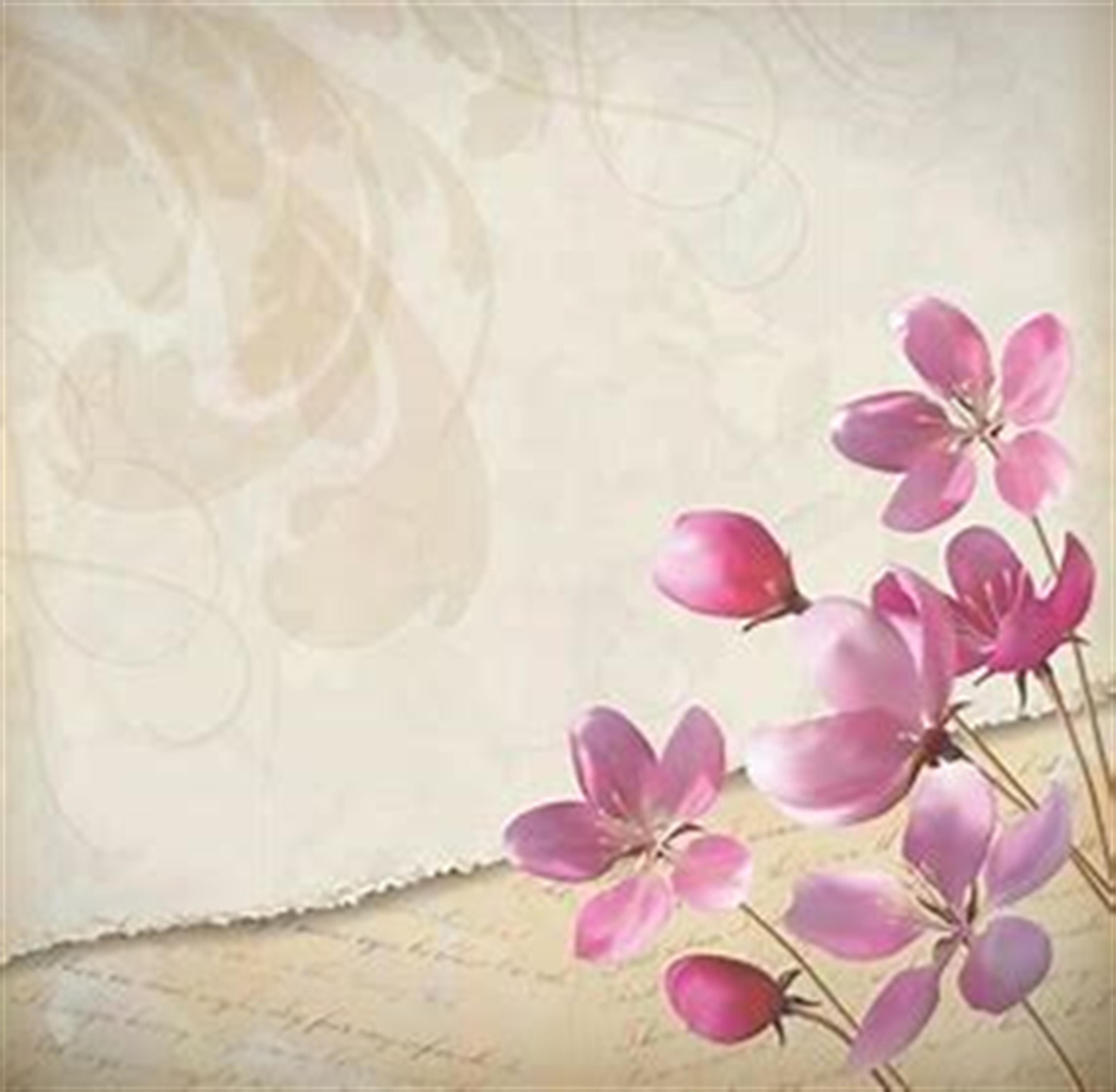 Maralyn Cardello