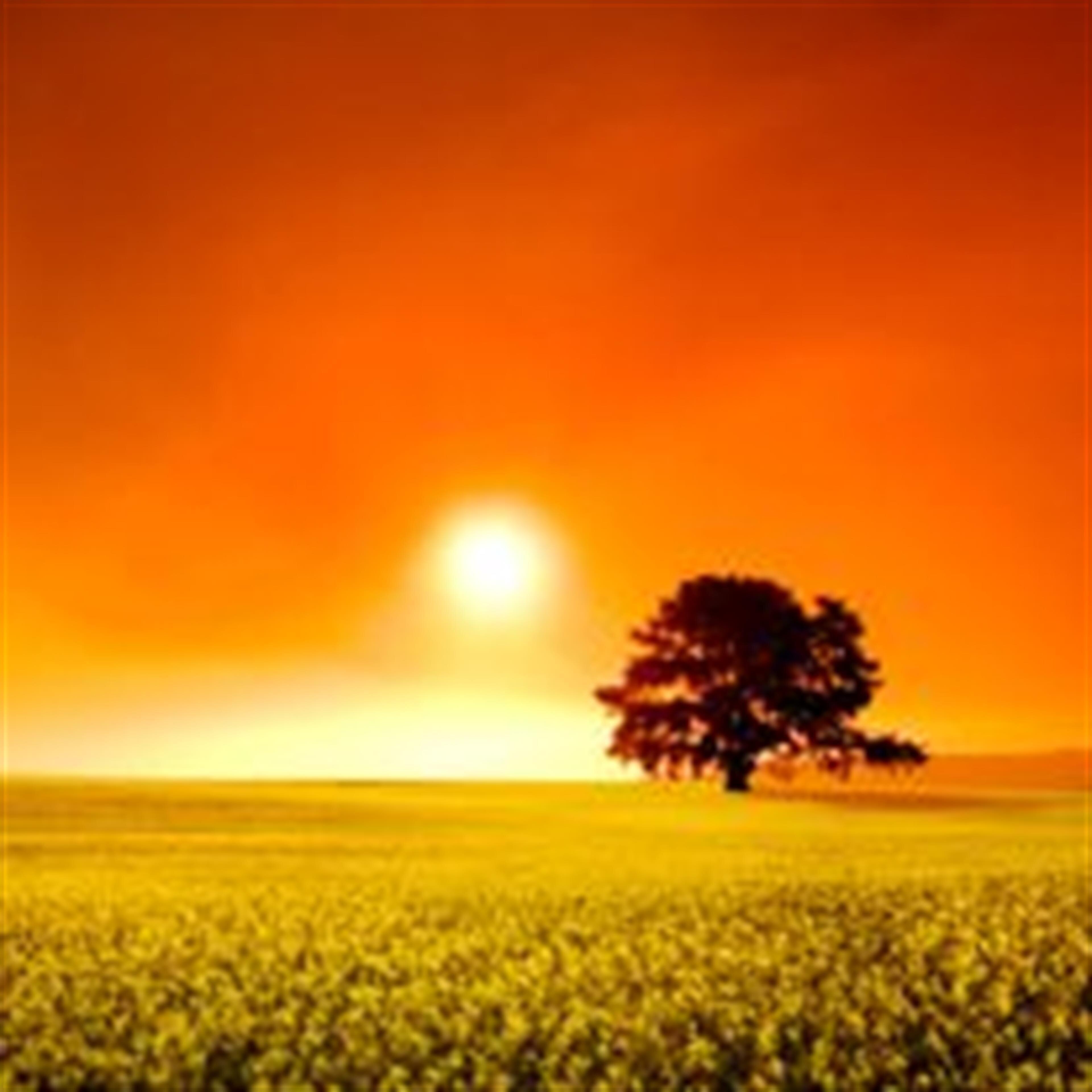 Sol Weintraub