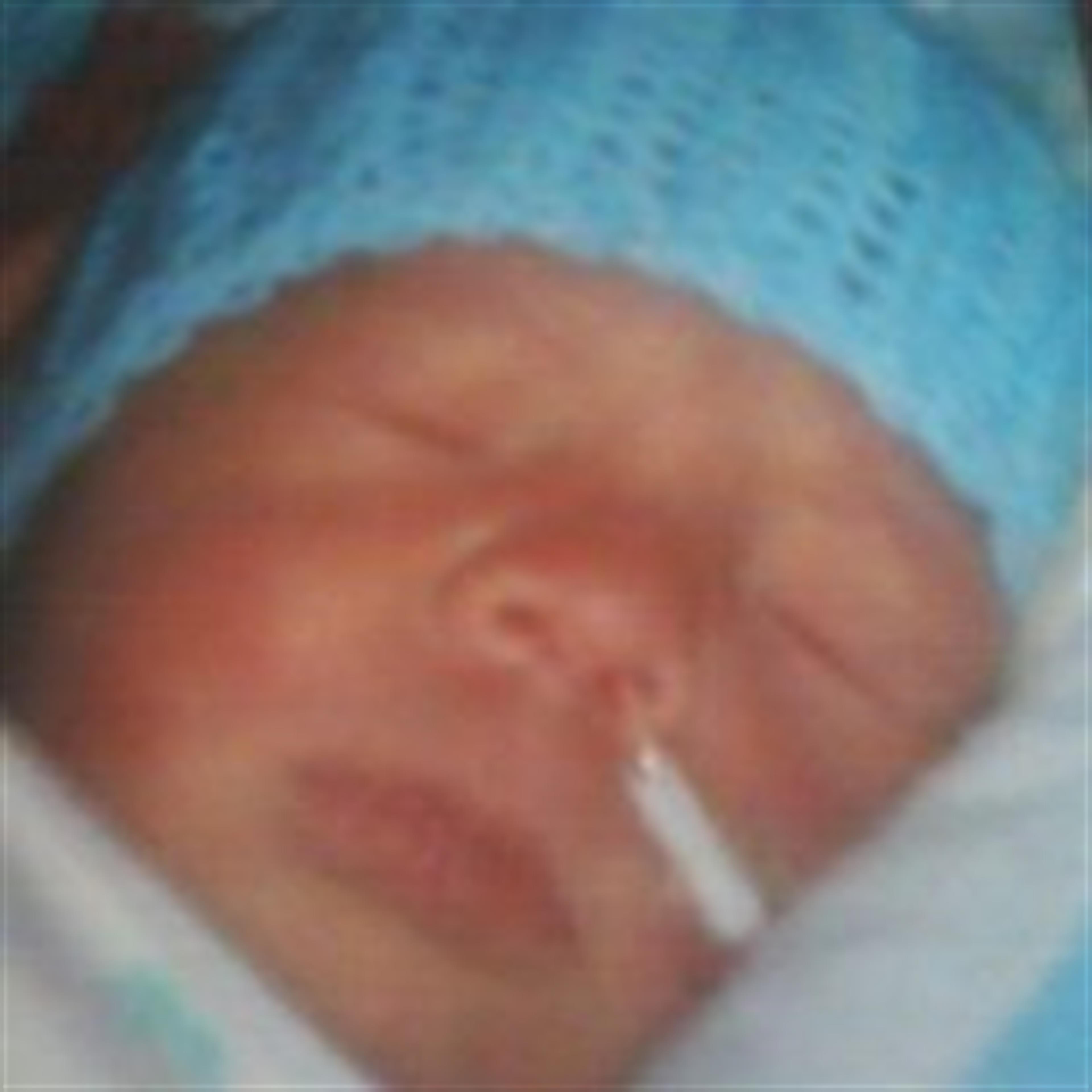 Josiah Alexander Viera