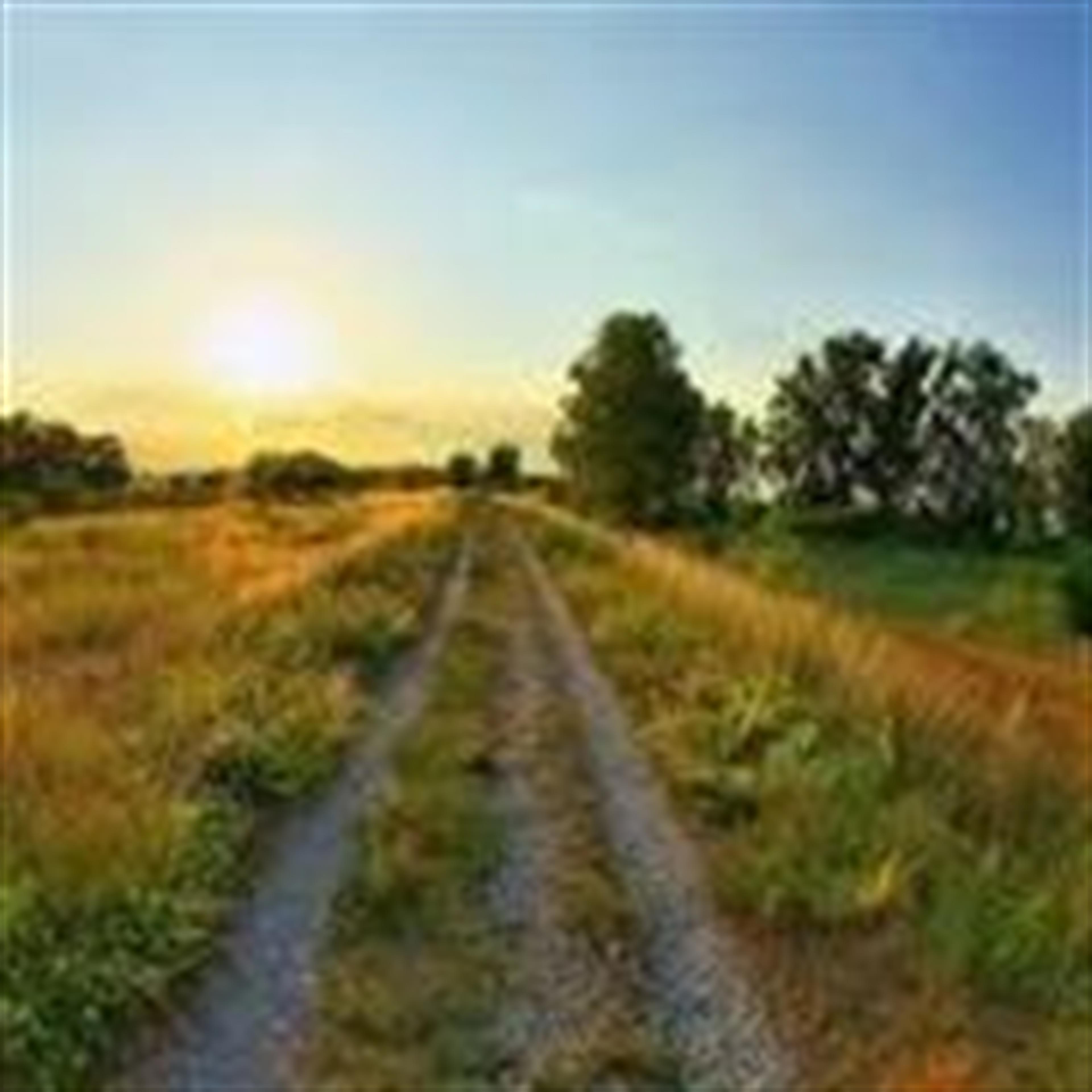 Frank Ratliff (Hartville)