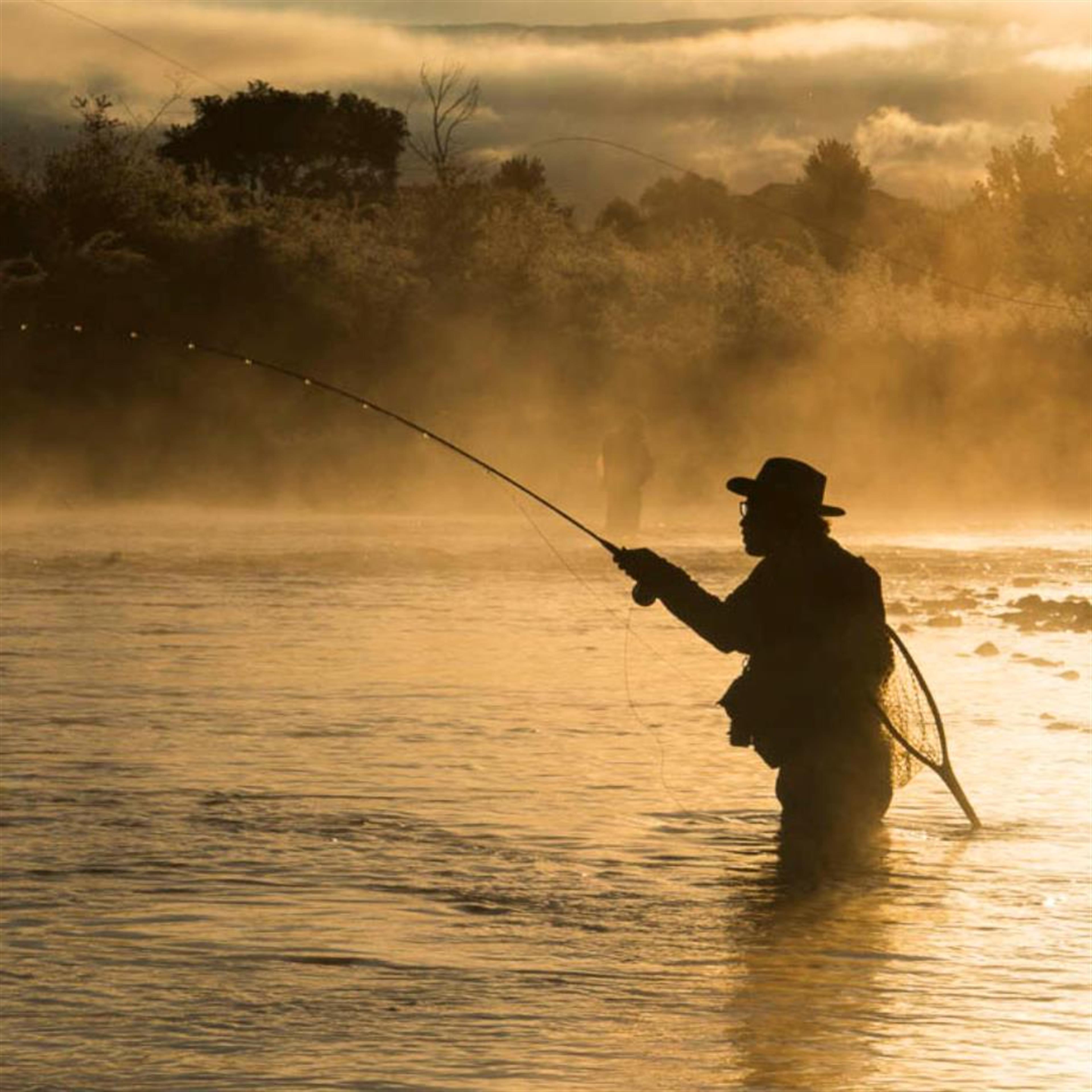 Mr. Harvey F. "Freddie" Patterson's obituary picture