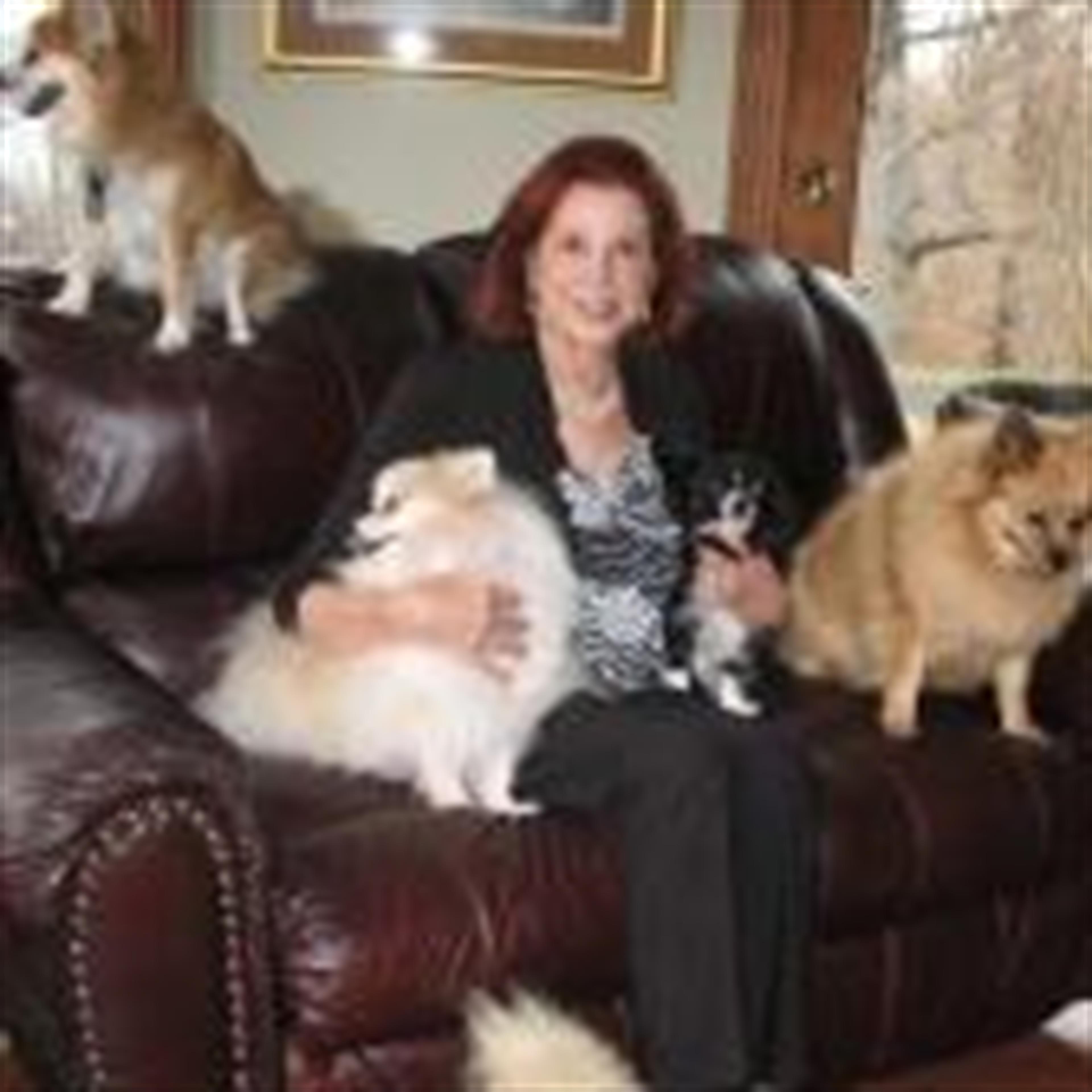 Adele Sellers (Camdenton)