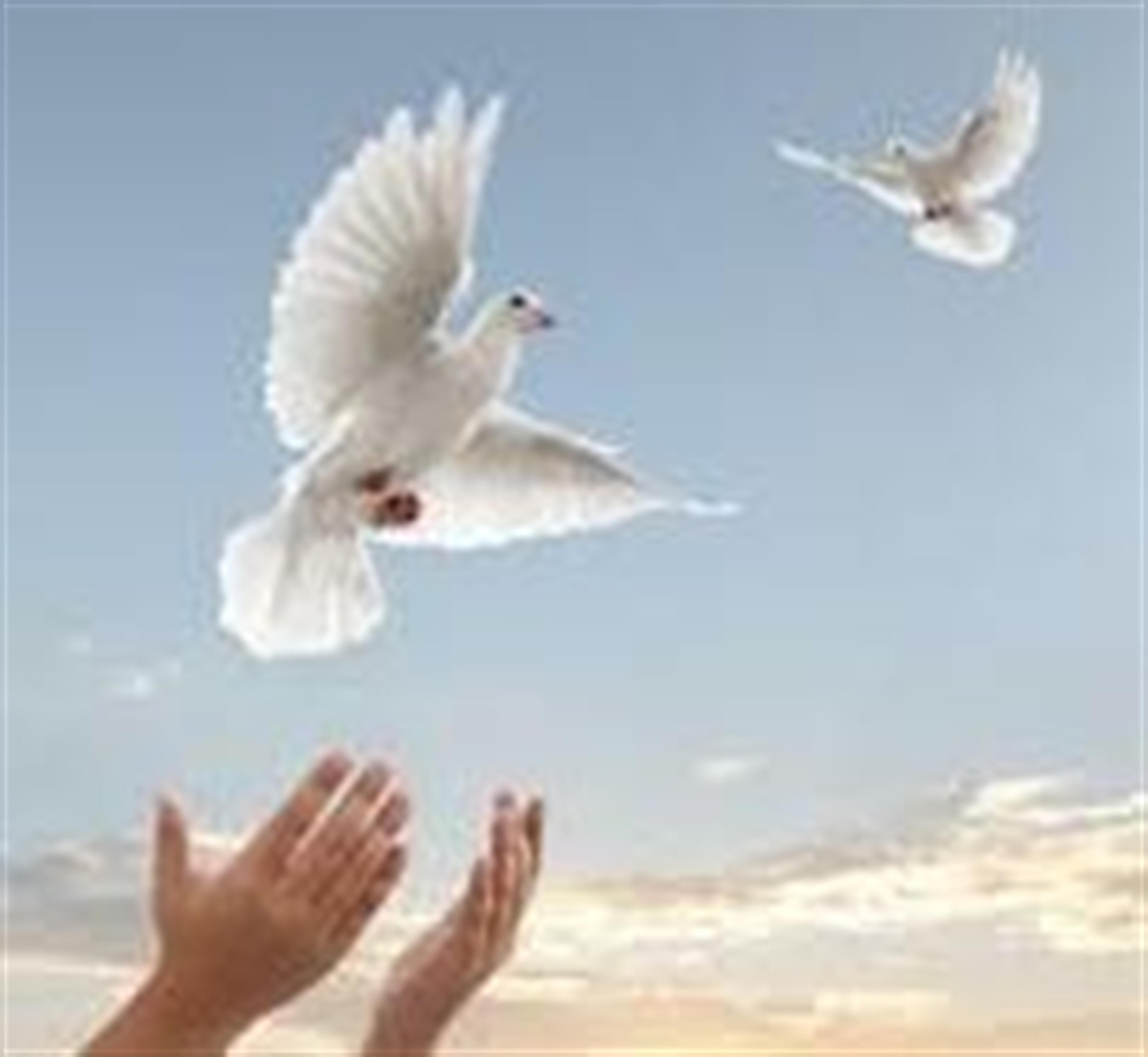 Emelia Maximina Garcia's obituary picture