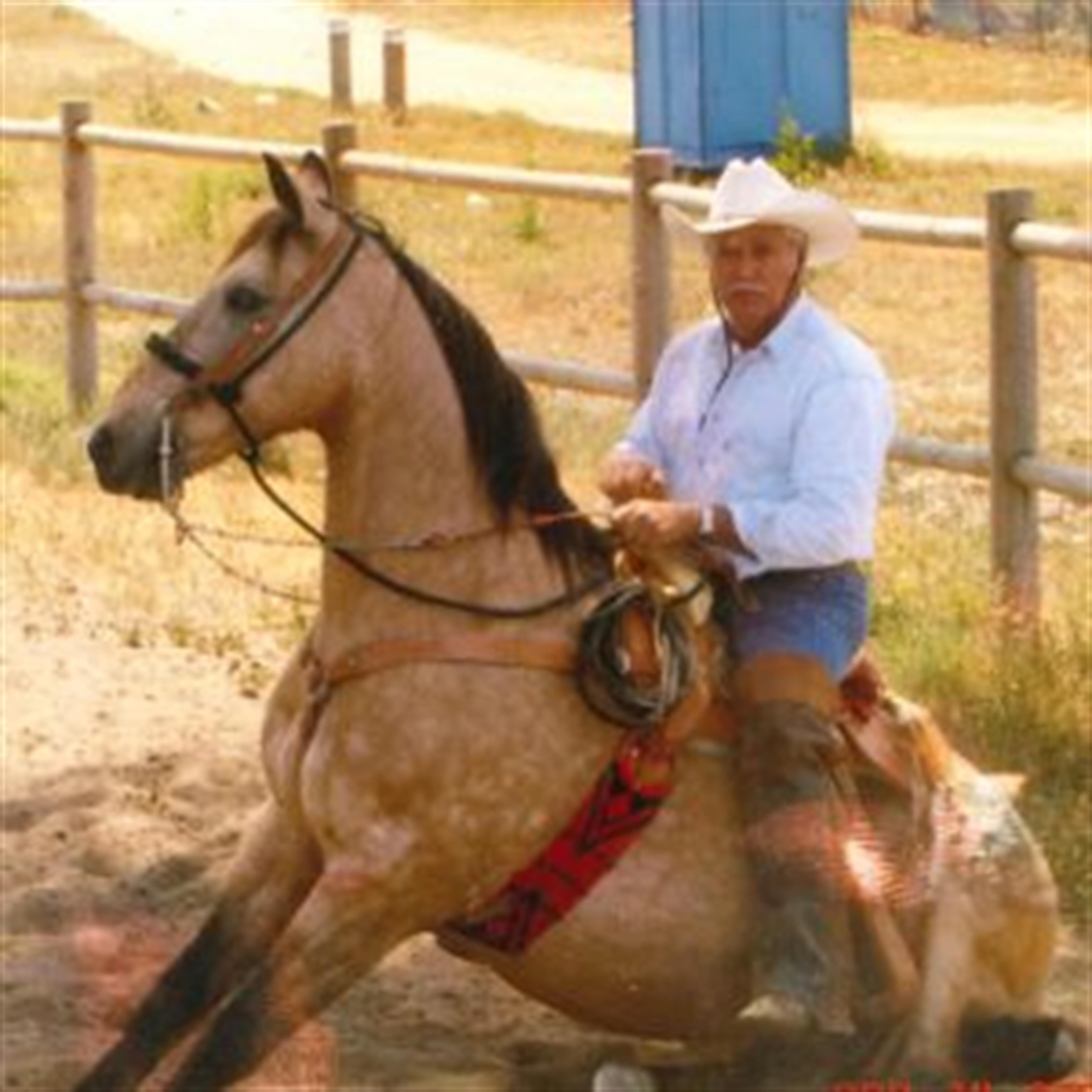 Armando Rodriguez Jimenez
