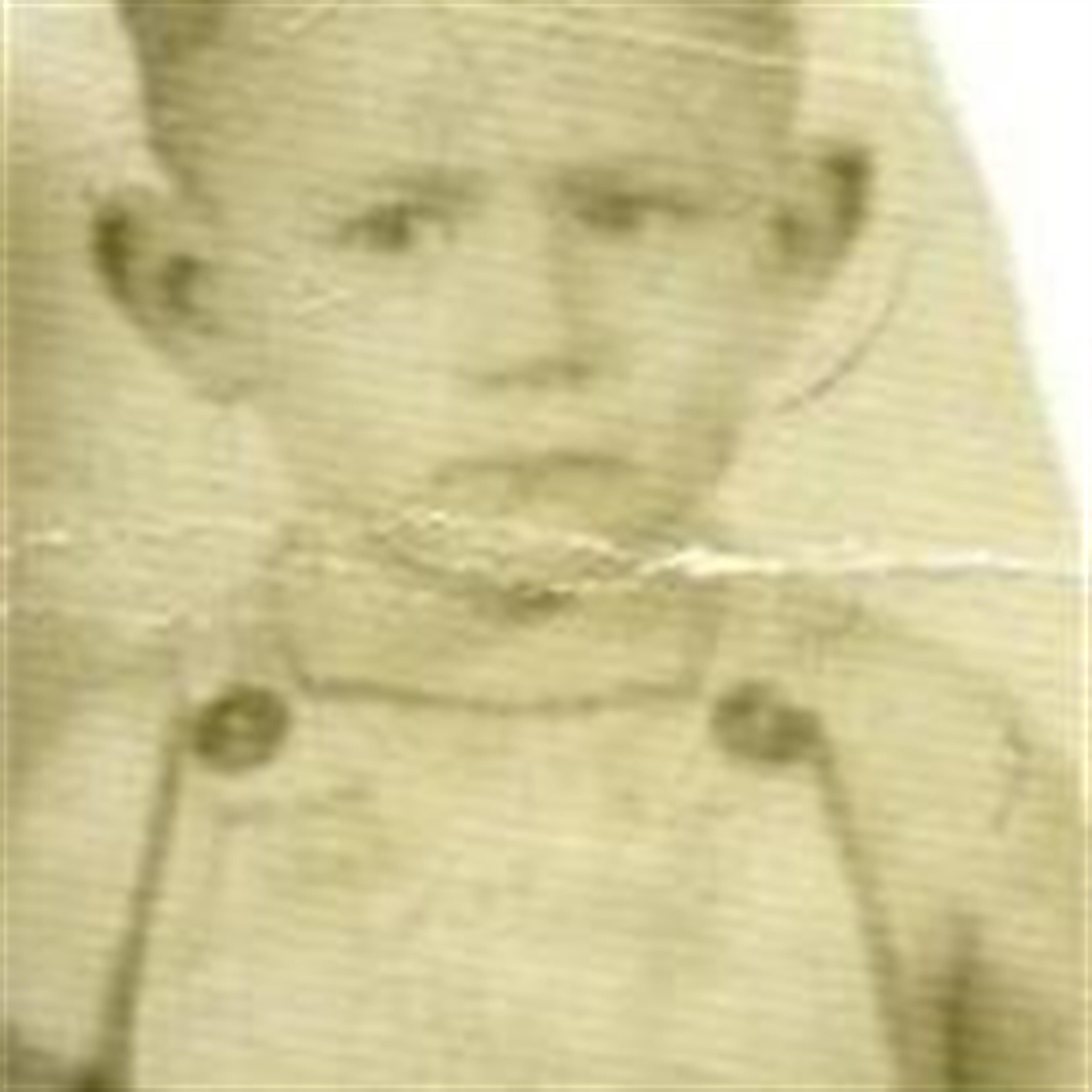 Raul Javier Dominguez Jr.