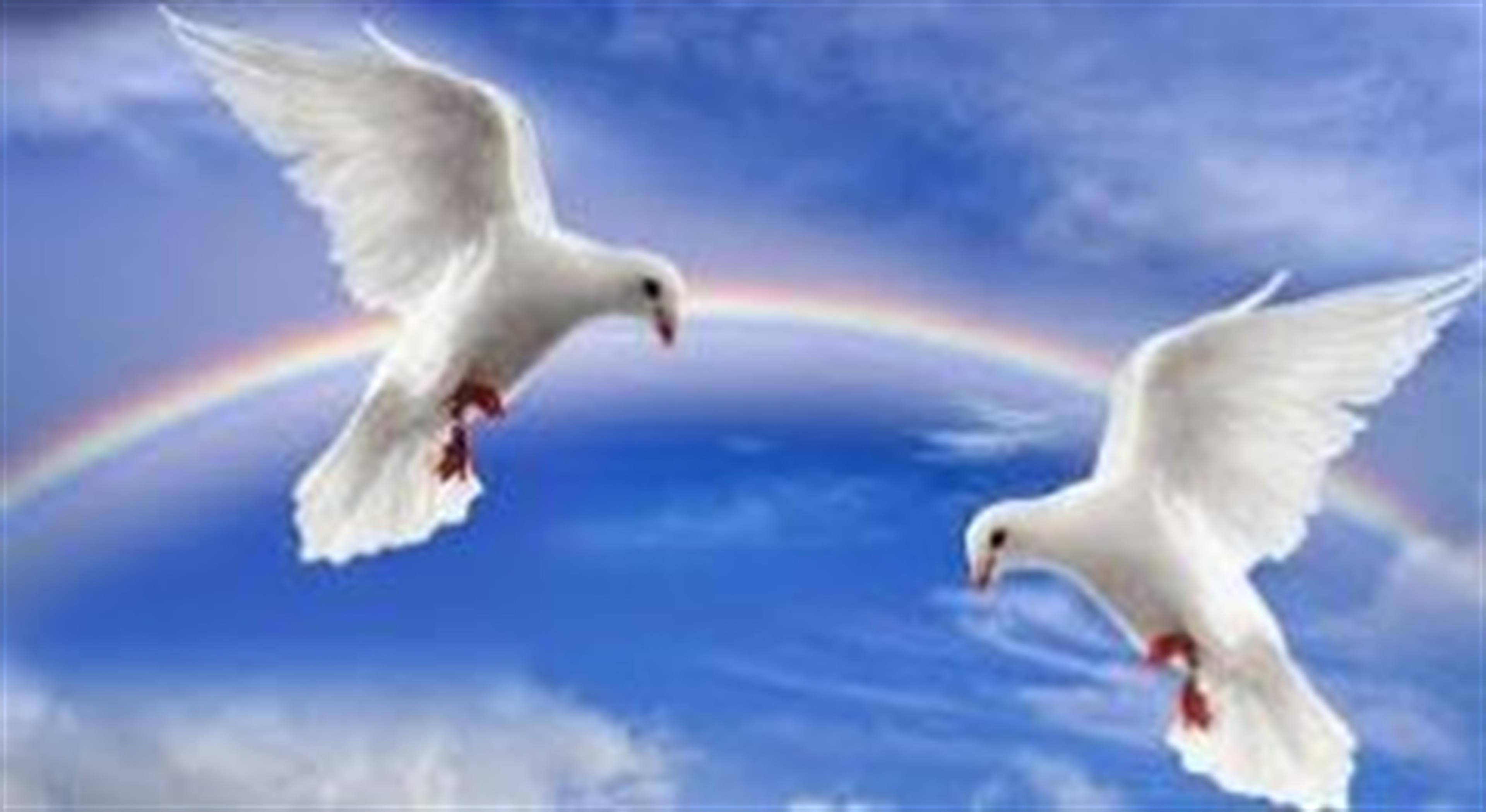 Jeanne Louise Isaacson's obituary picture