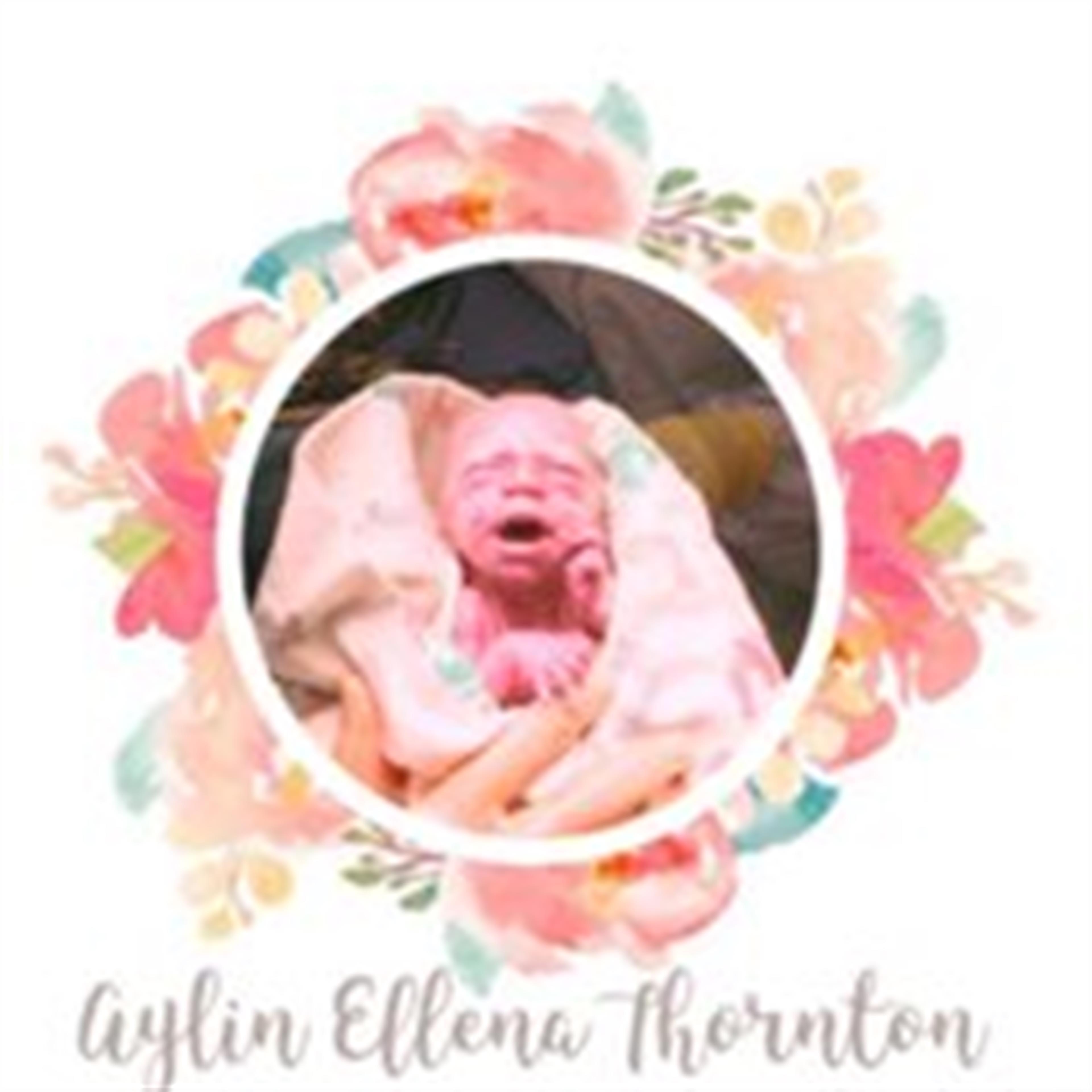 Aylin Ellena Thornton