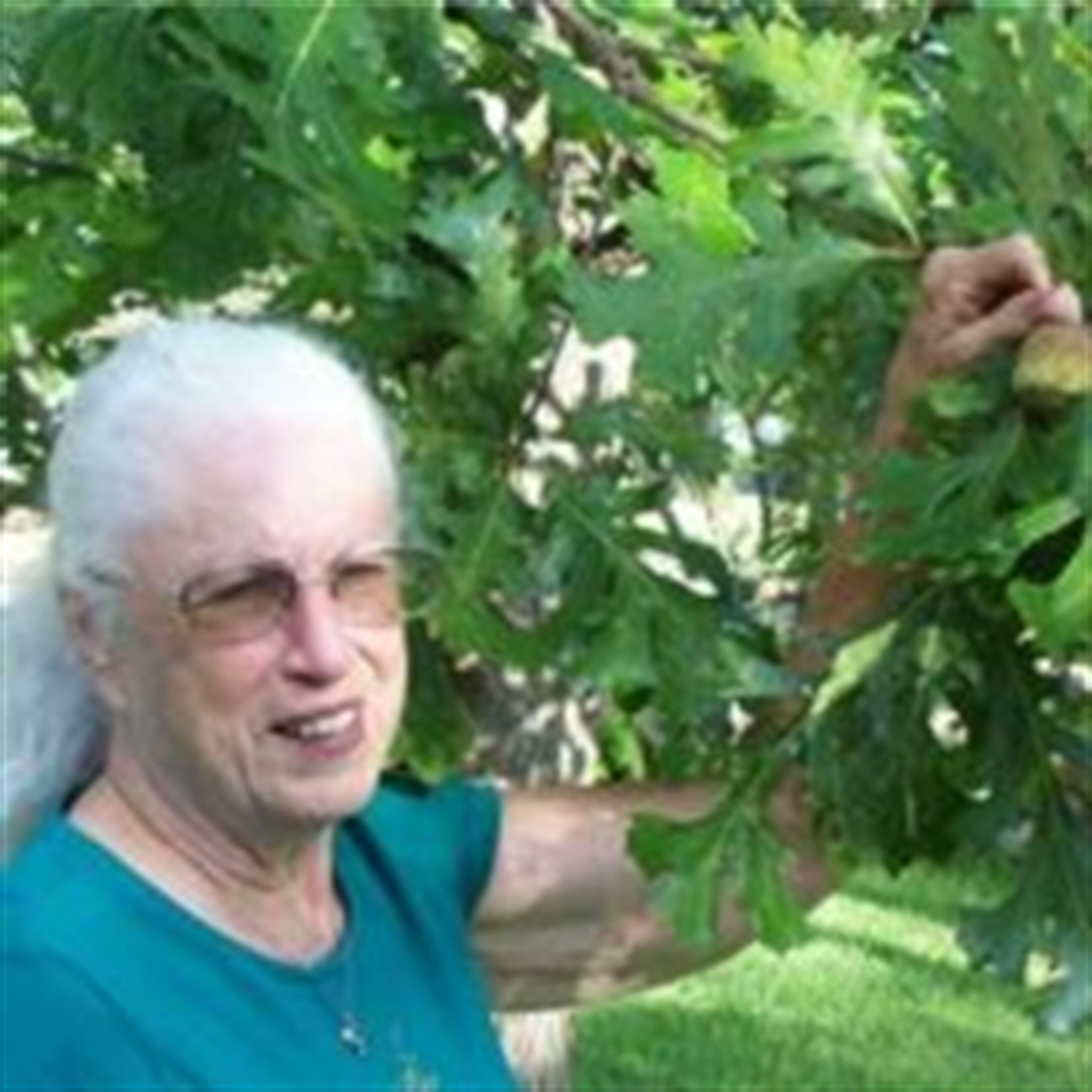 Leland Ann O'Neal-Terrell