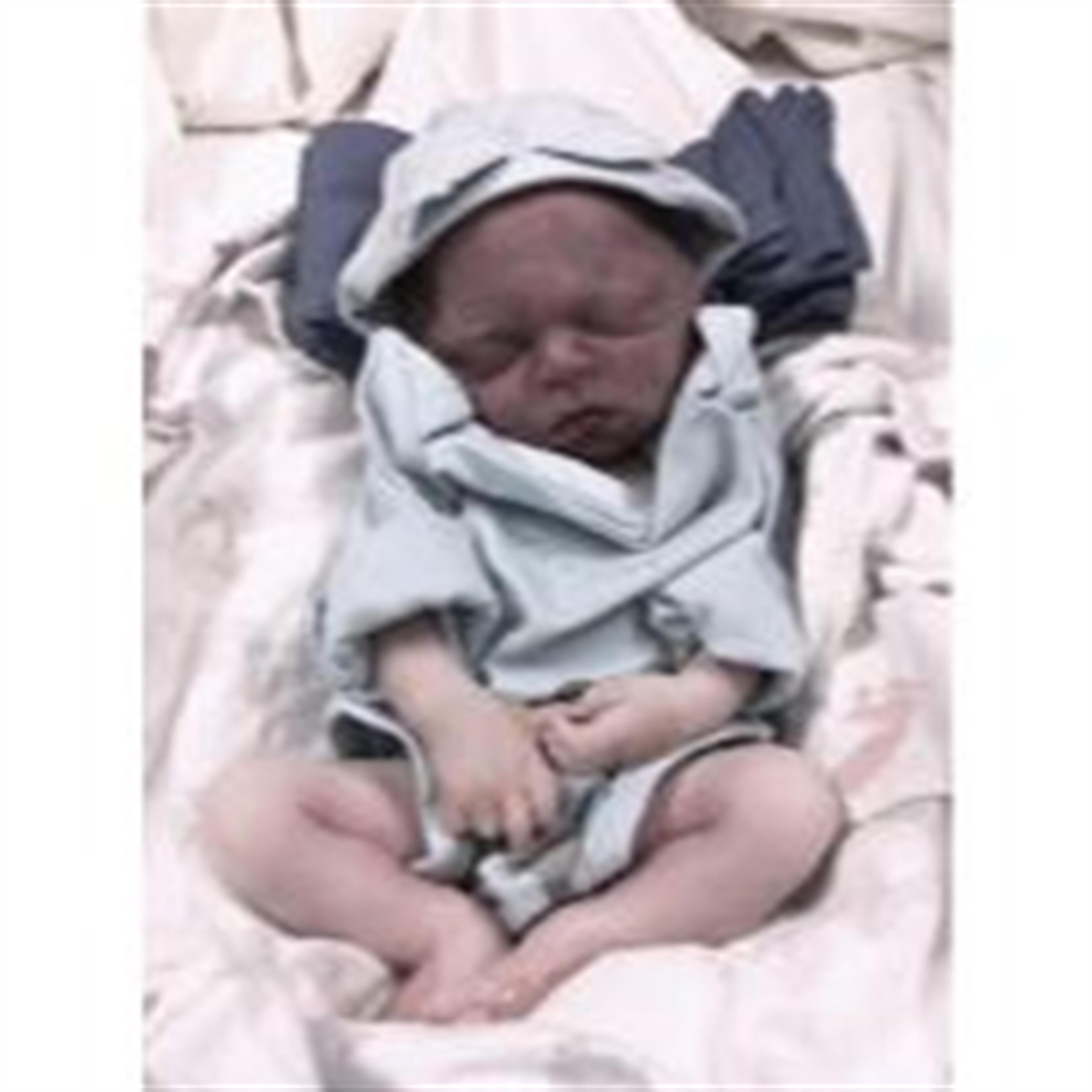 Owen Chase Ladewig