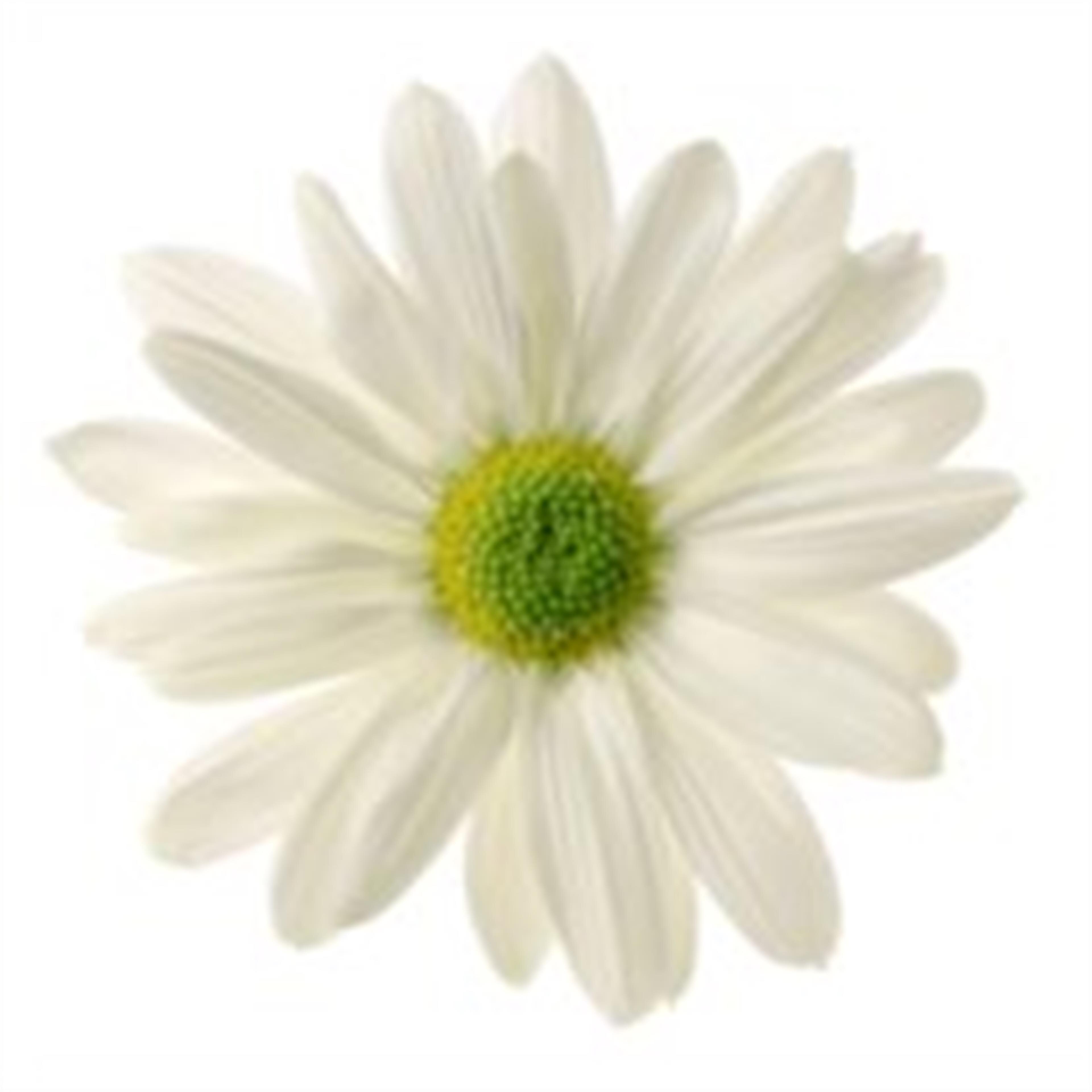 Alan Flowers
