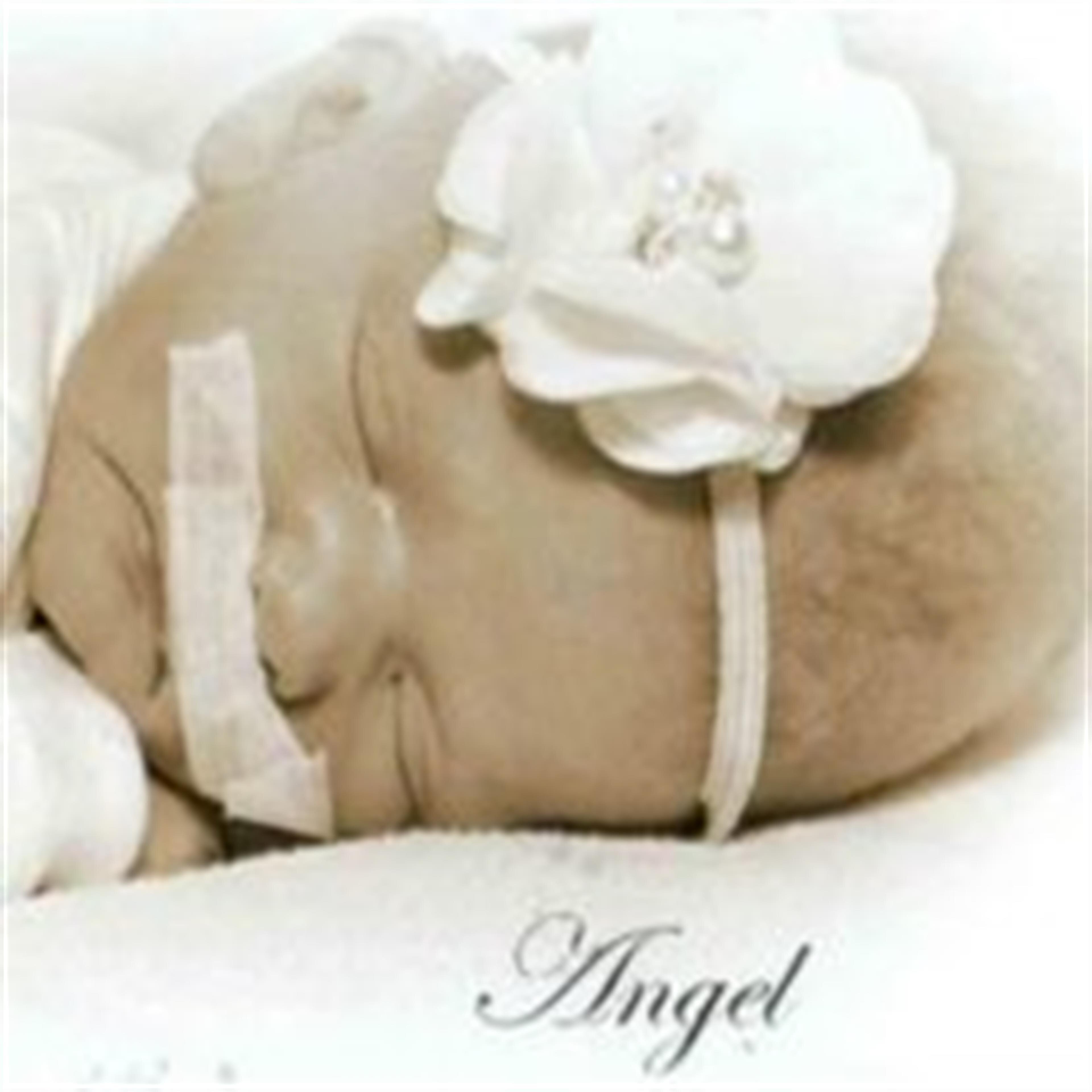 Angel N. Armstrong
