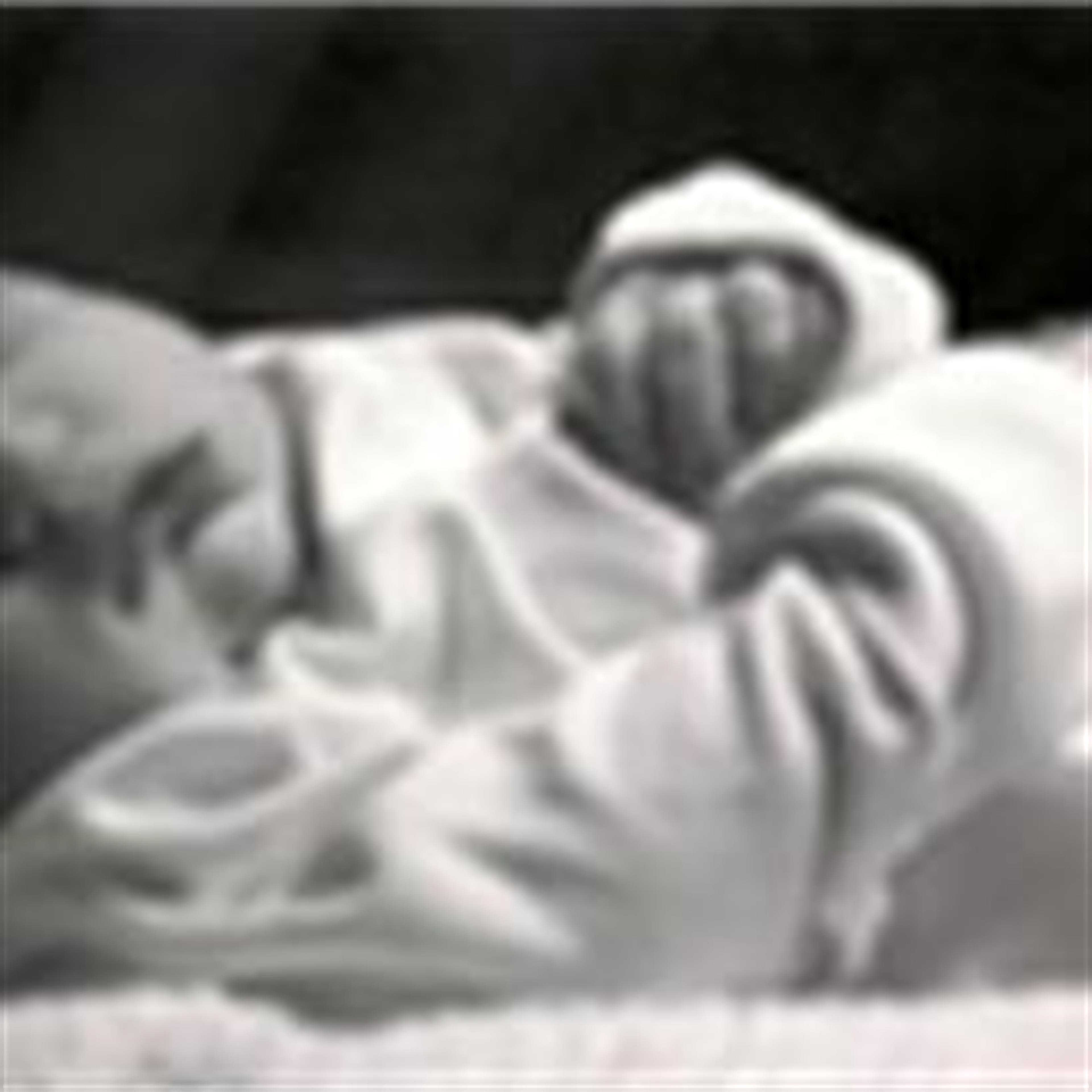 Gilbert Marion Craig IV
