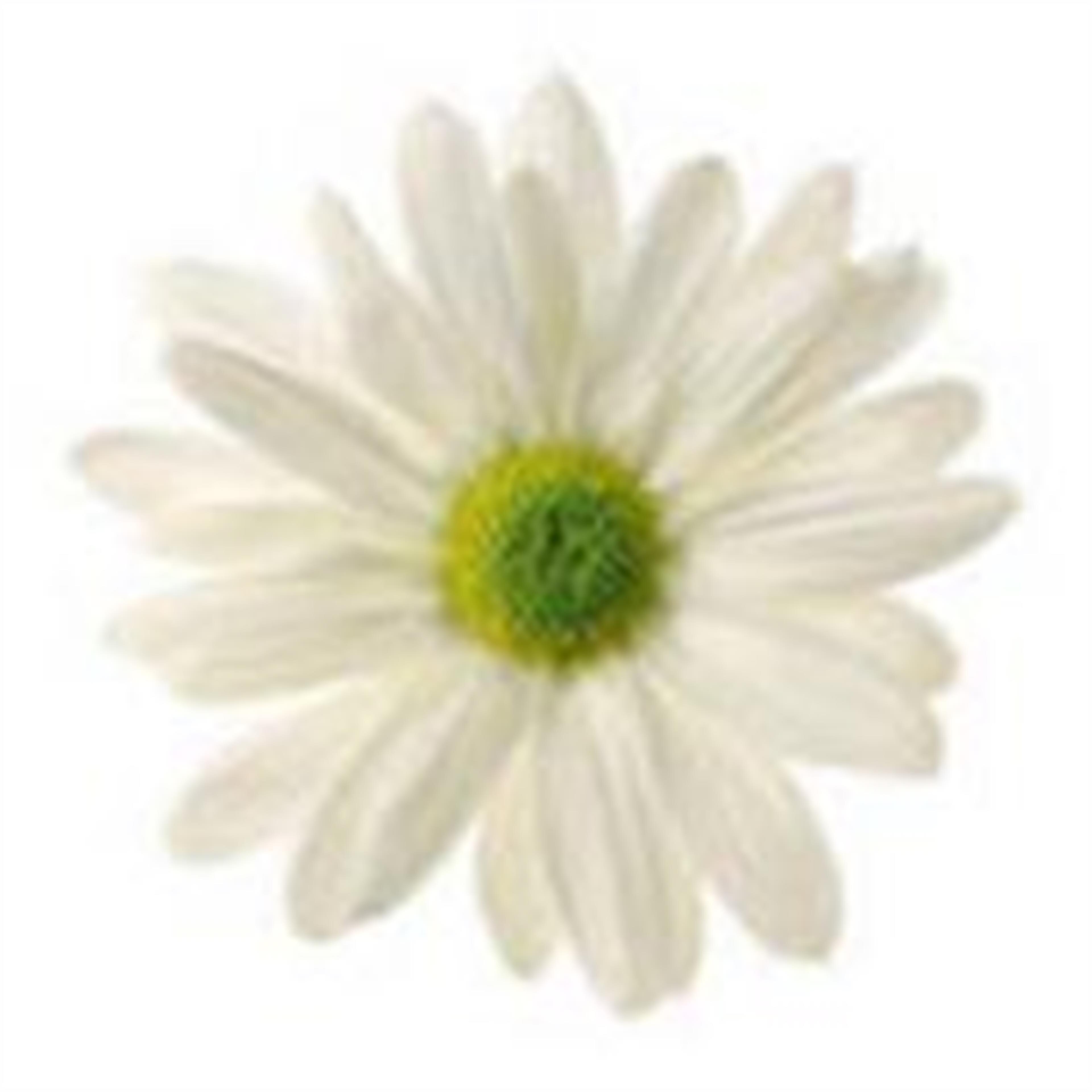 Lynnda Lavada Leeds