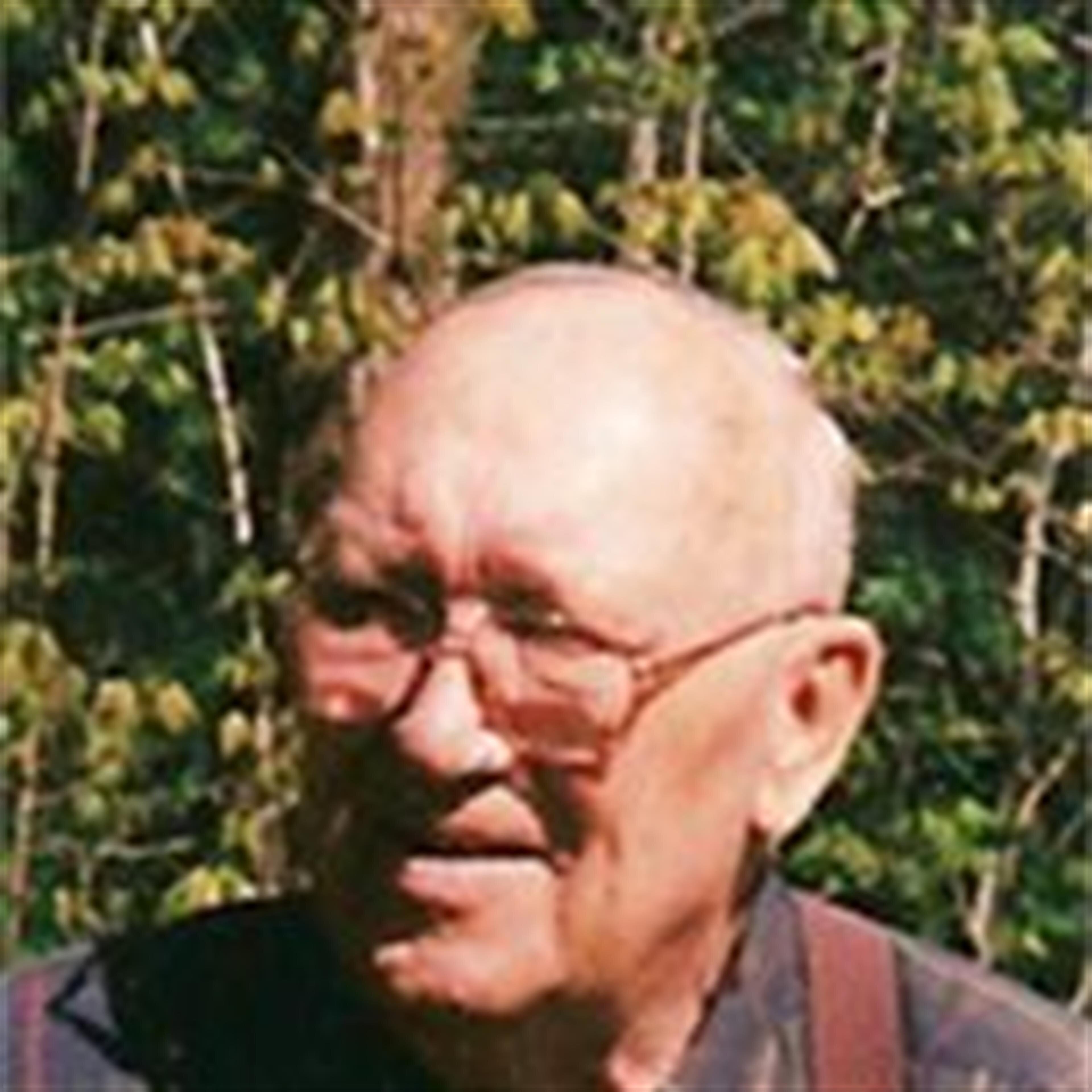 Robert L. Wilkins