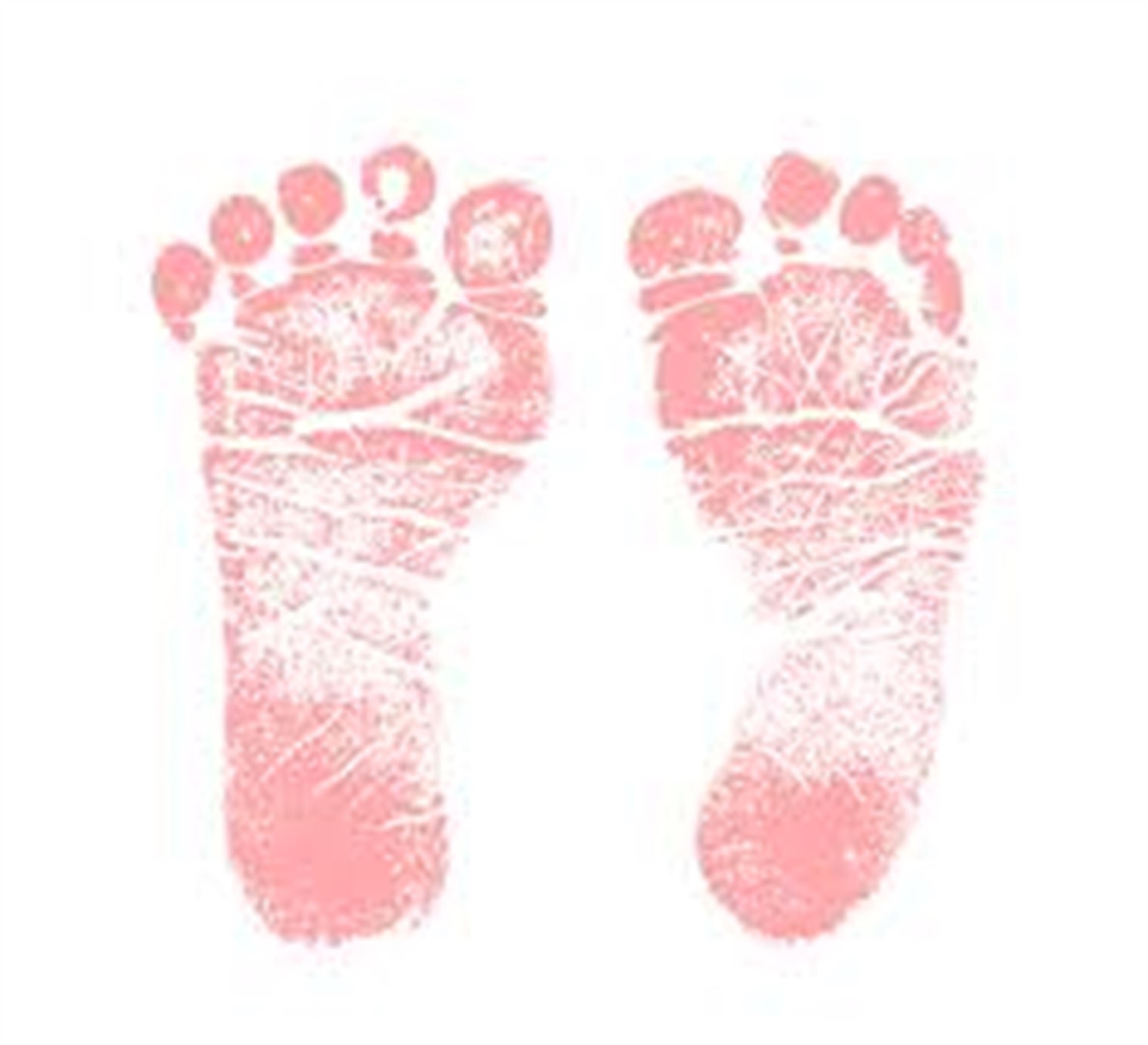 Annabel Leigh Petrone
