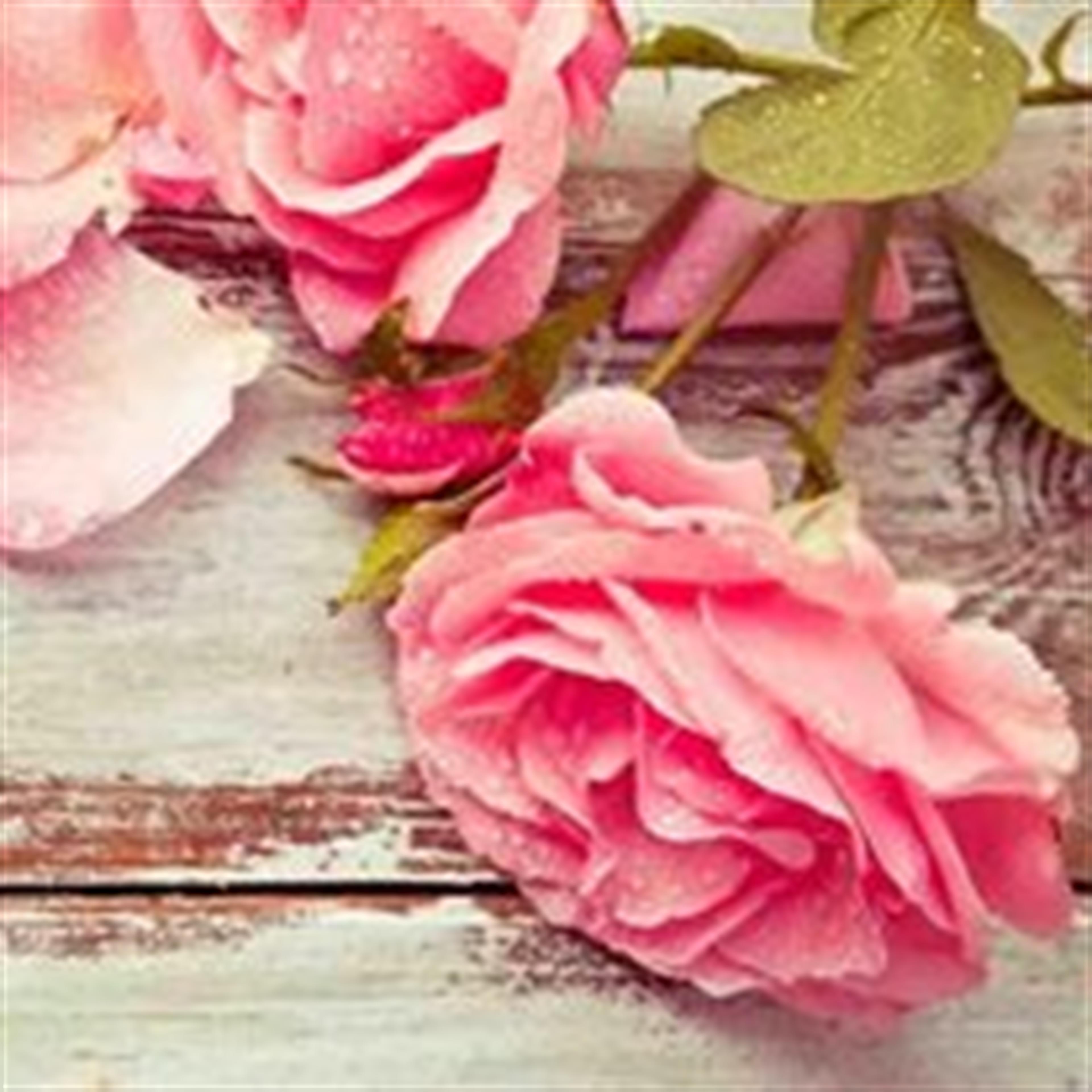 Suzzanne Marie Wright