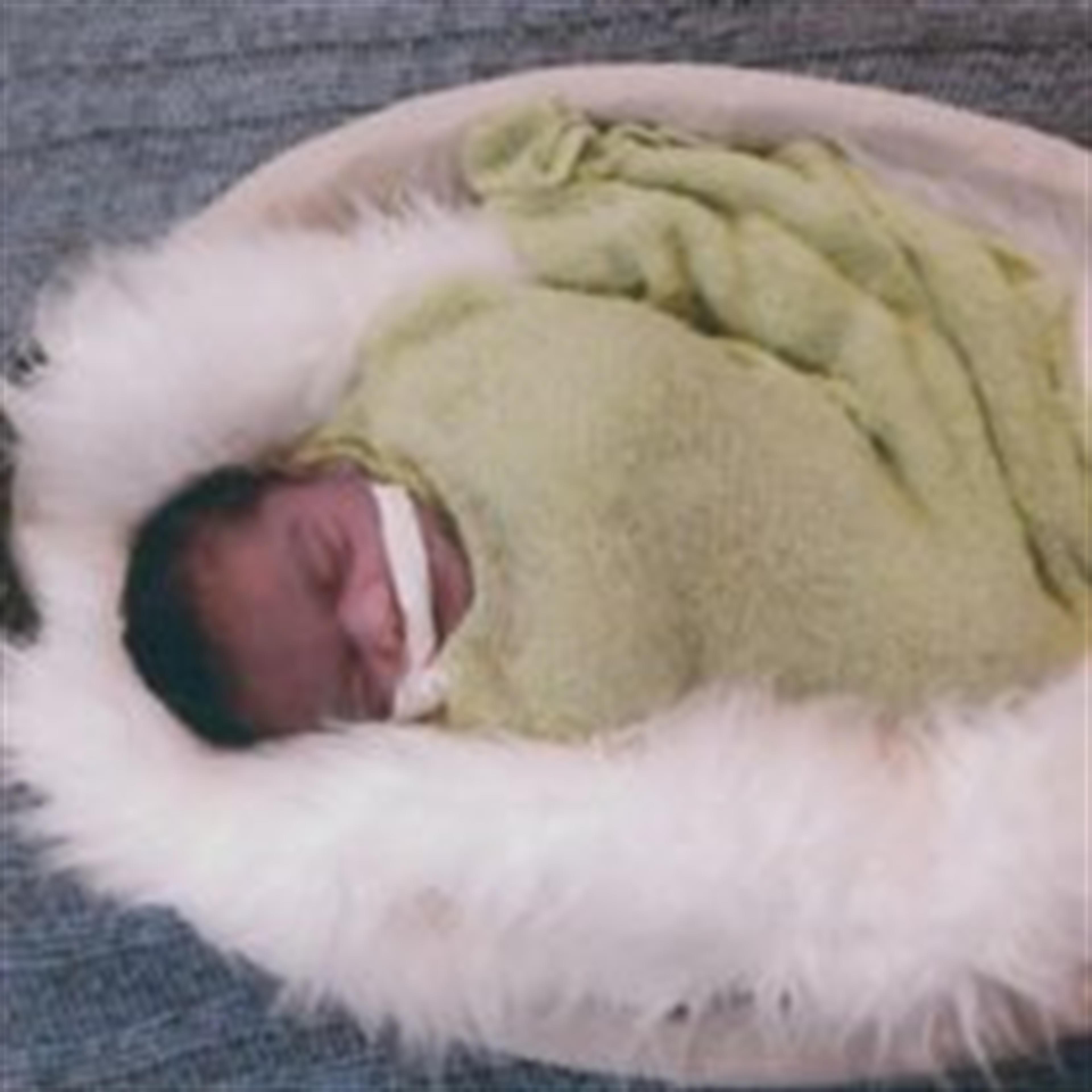 Uriah  Levi Smith