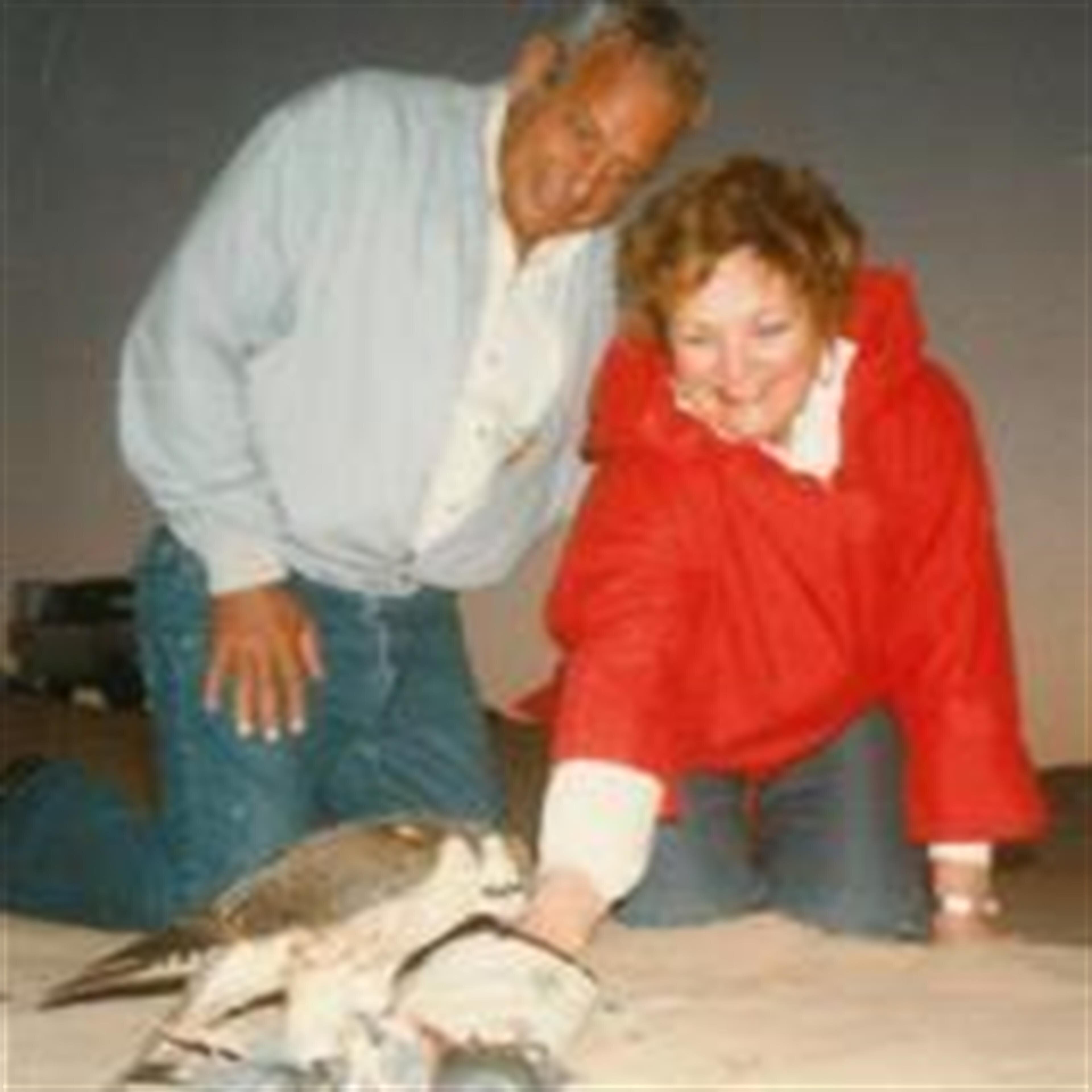 Helen O. Wintle
