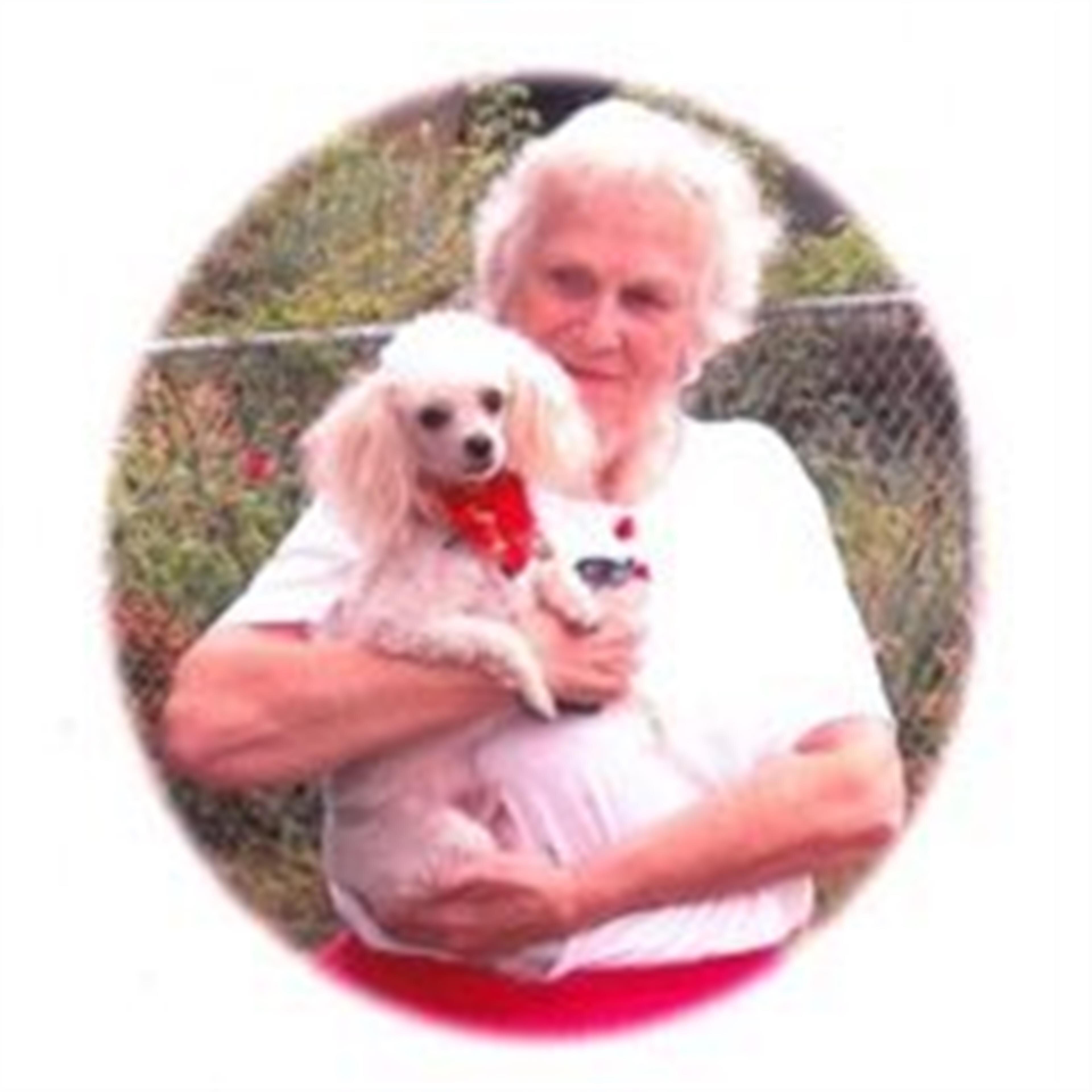 Shirley  Jean Haynes