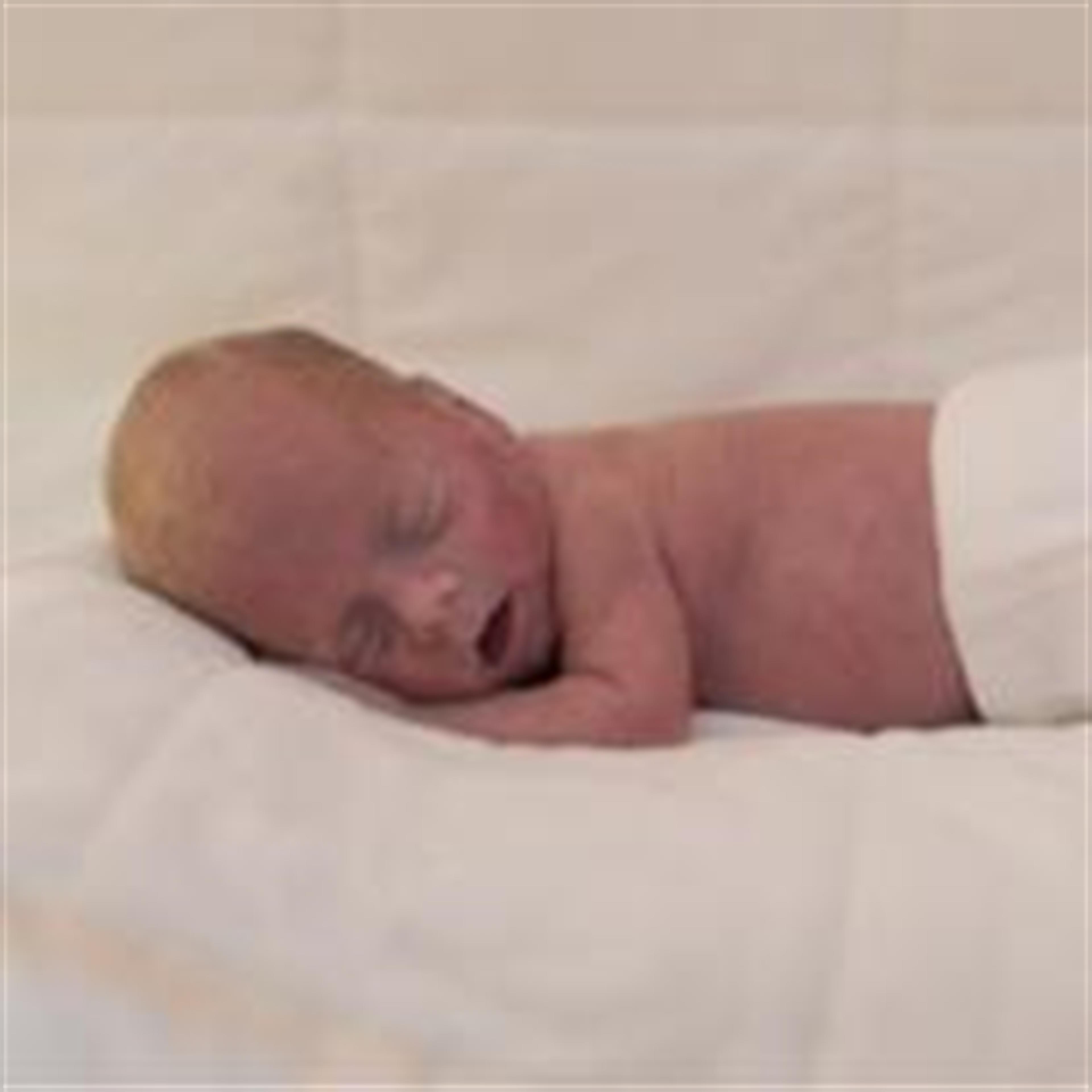 Dylan Carlisle Nichols