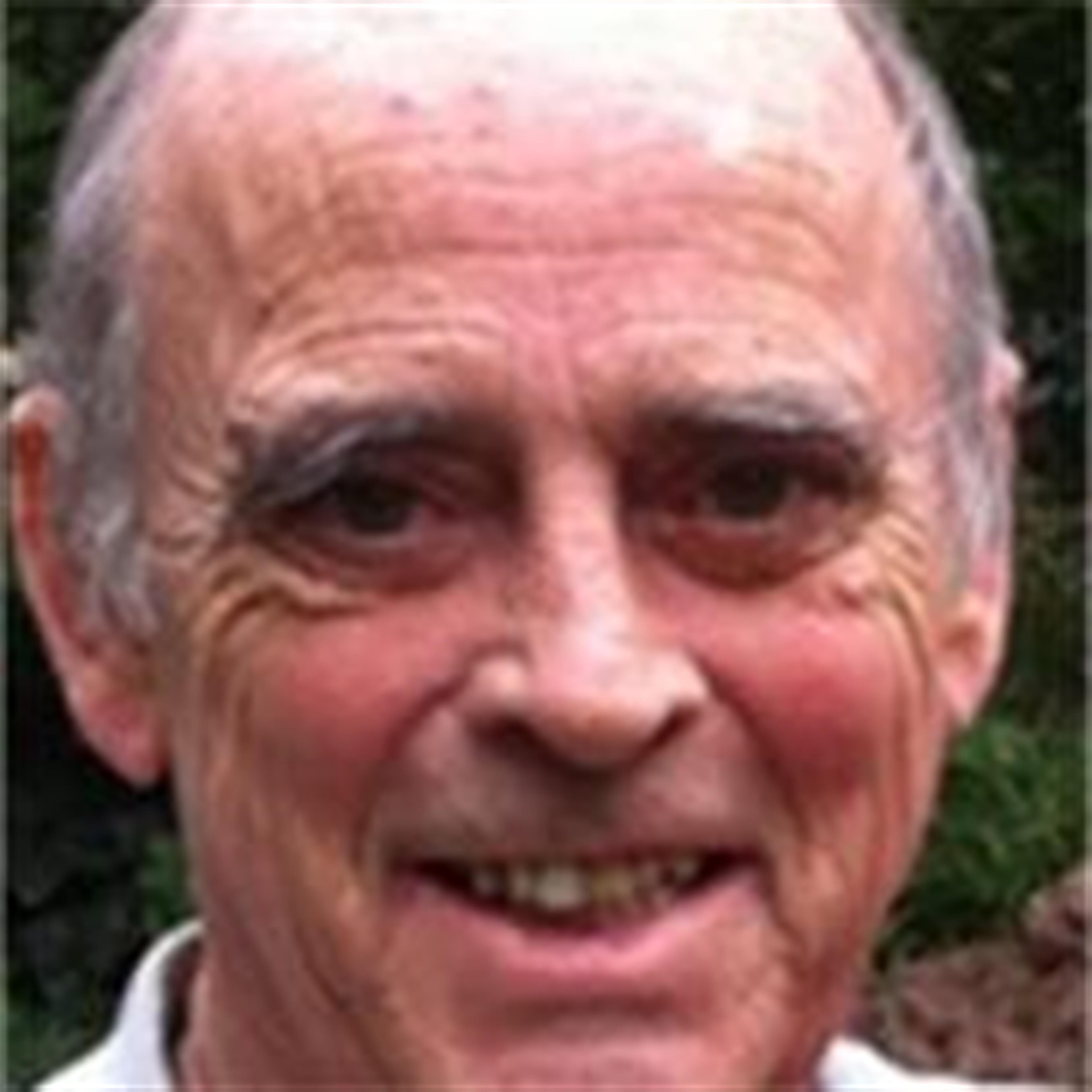 Wayne E. Scruggs