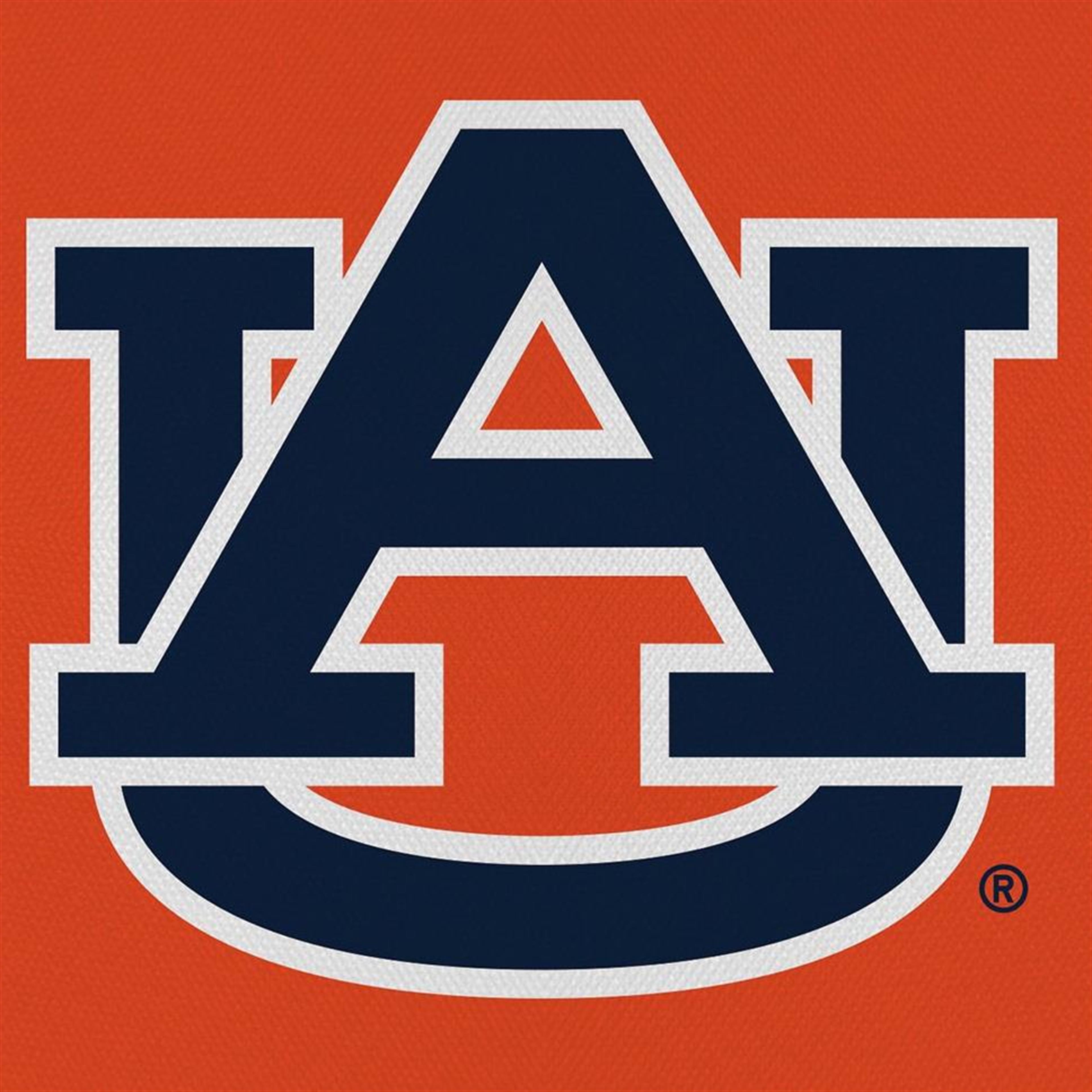 Mr. Ray Romine's obituary picture