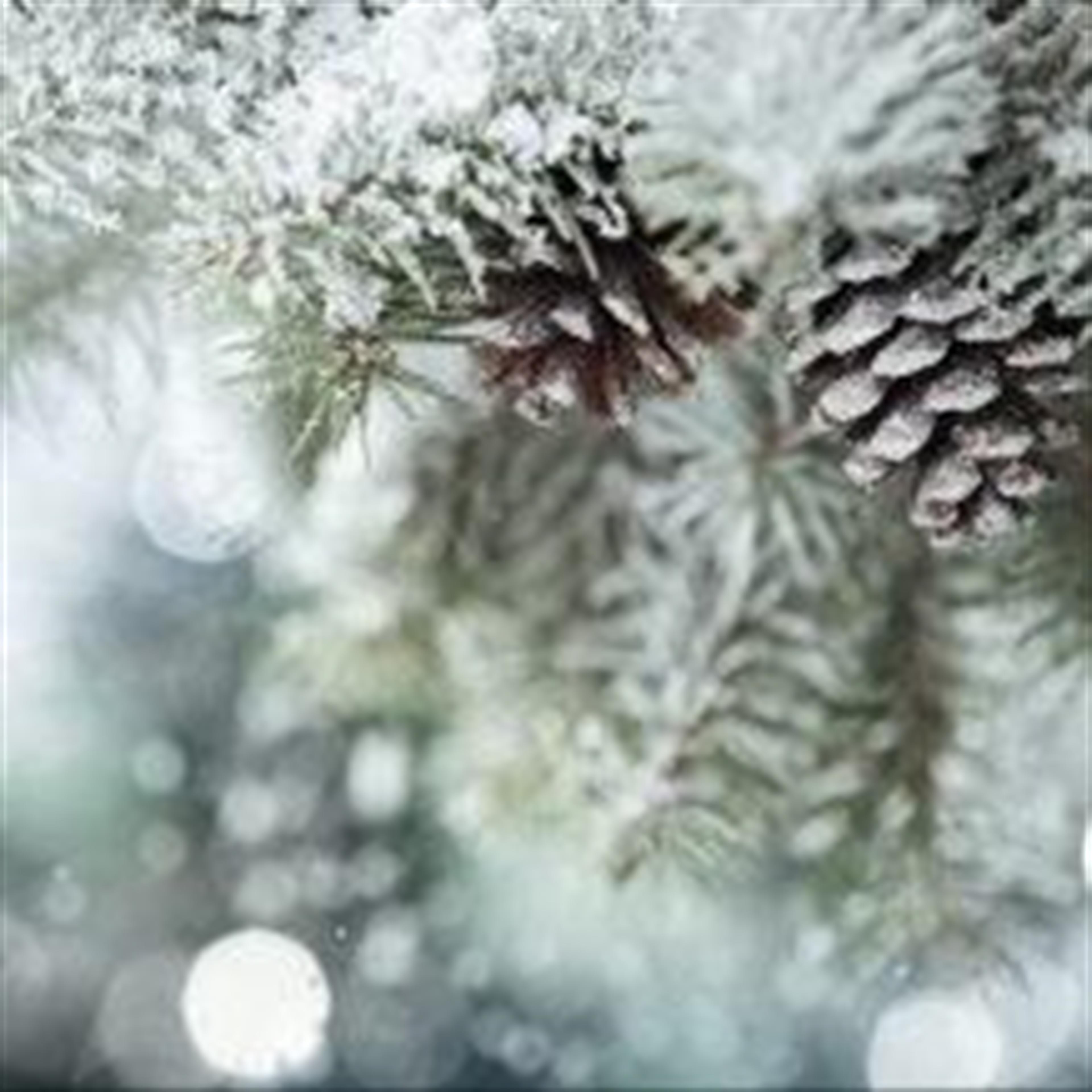 C. Ronnie Feltmeyer's obituary picture