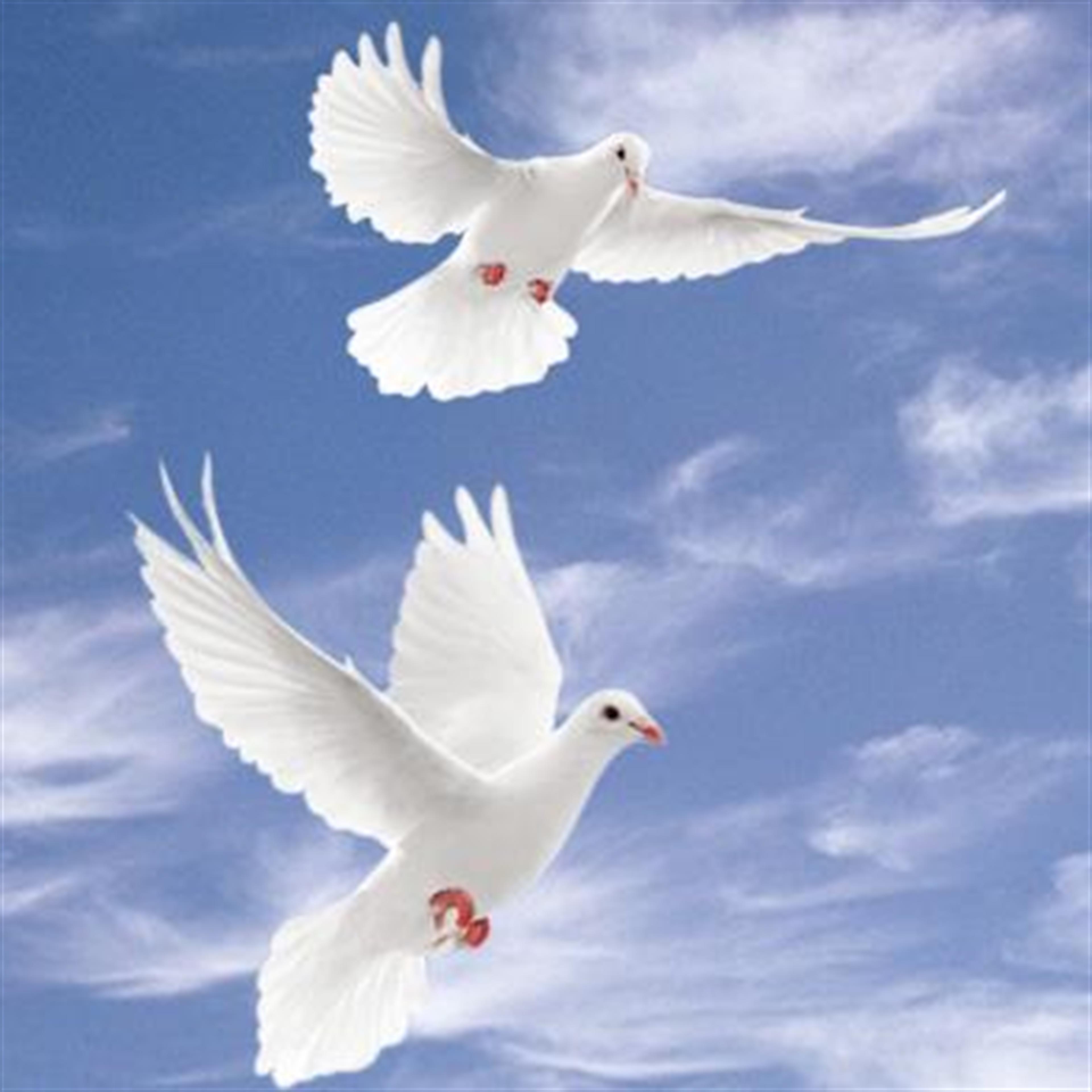 Yvonne Marie Battin Drues' obituary picture