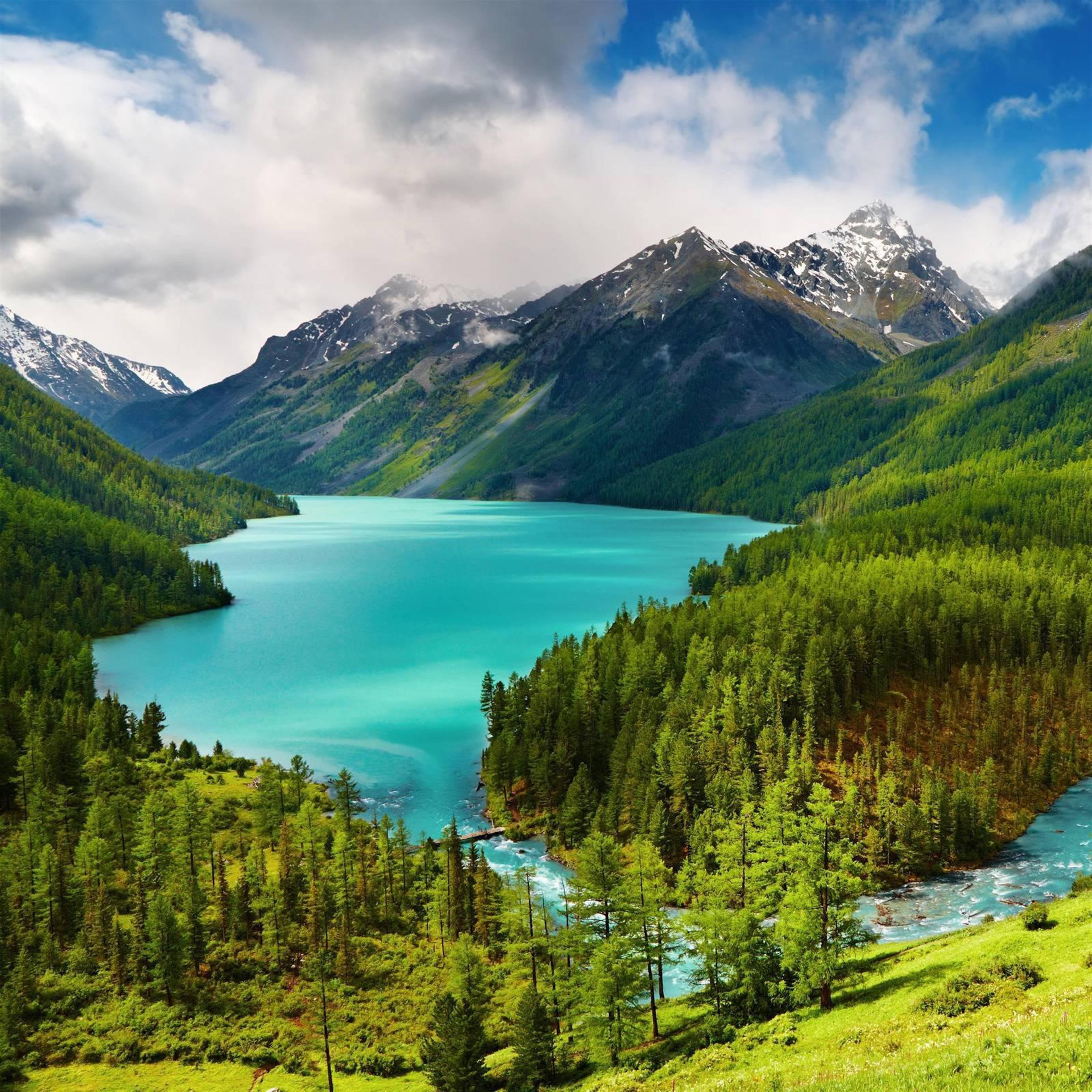 Mr. David Wayne Davis' obituary picture