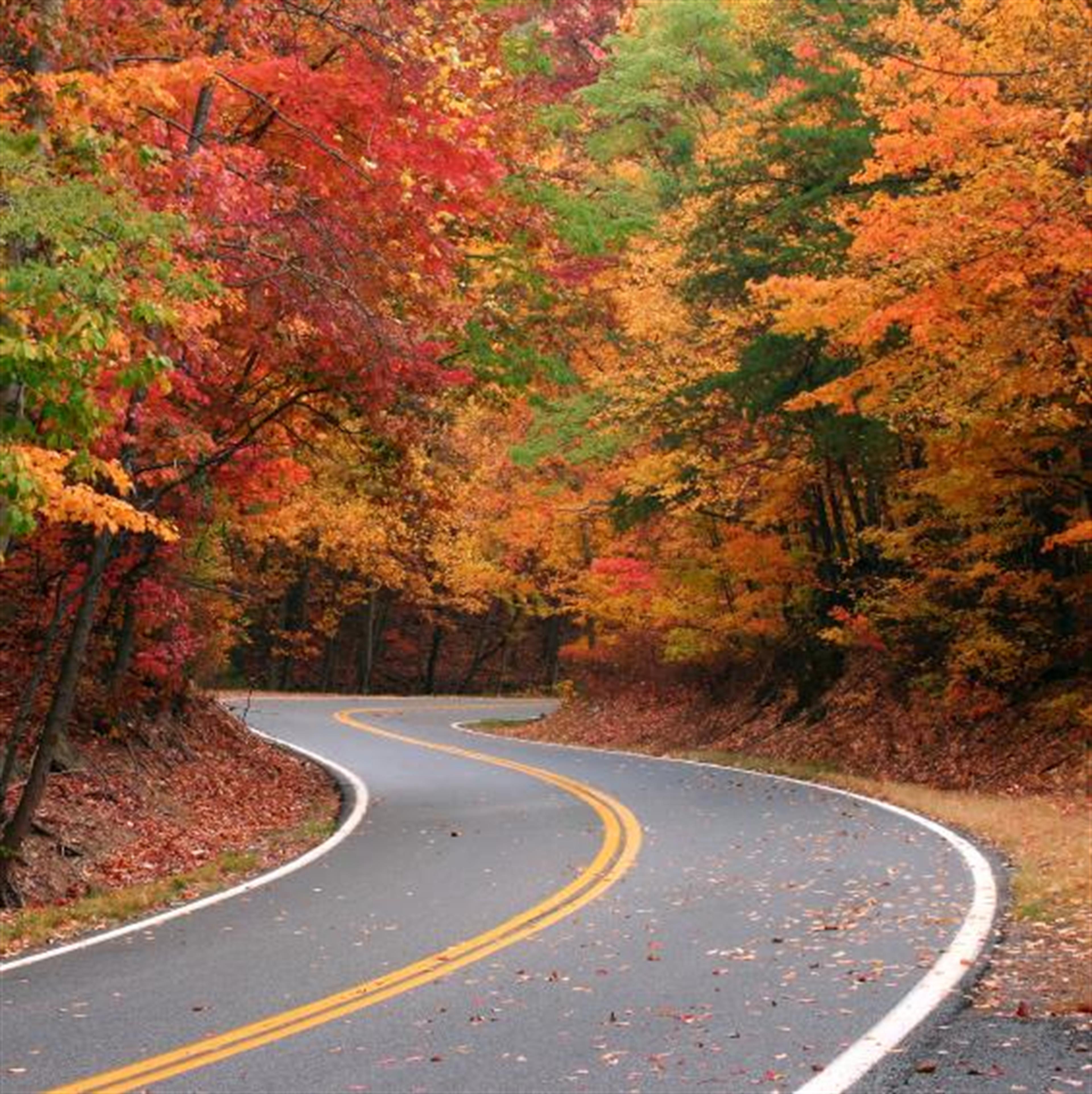 Mr. Allen Wesson's obituary picture