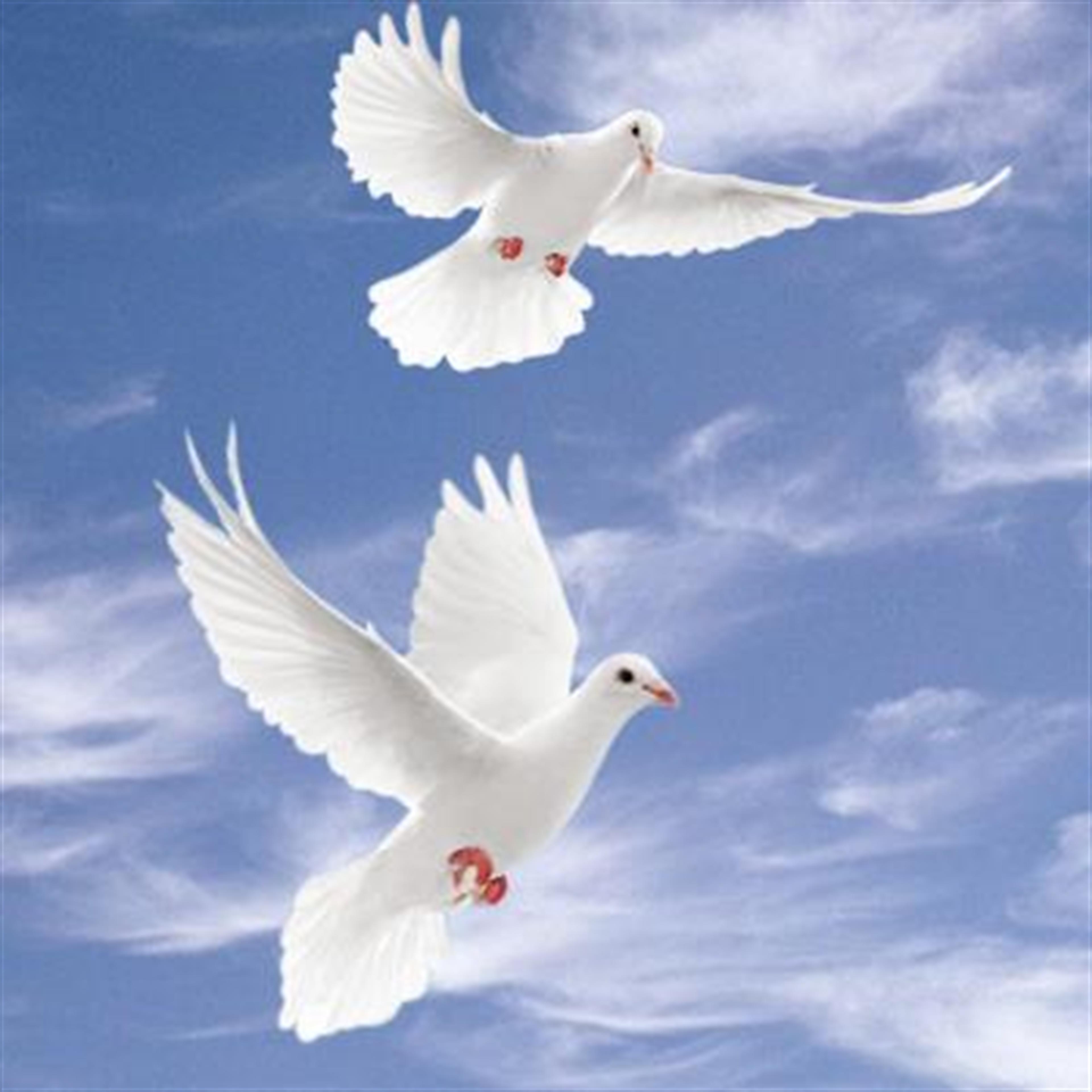 Ella Mae Starr's obituary picture