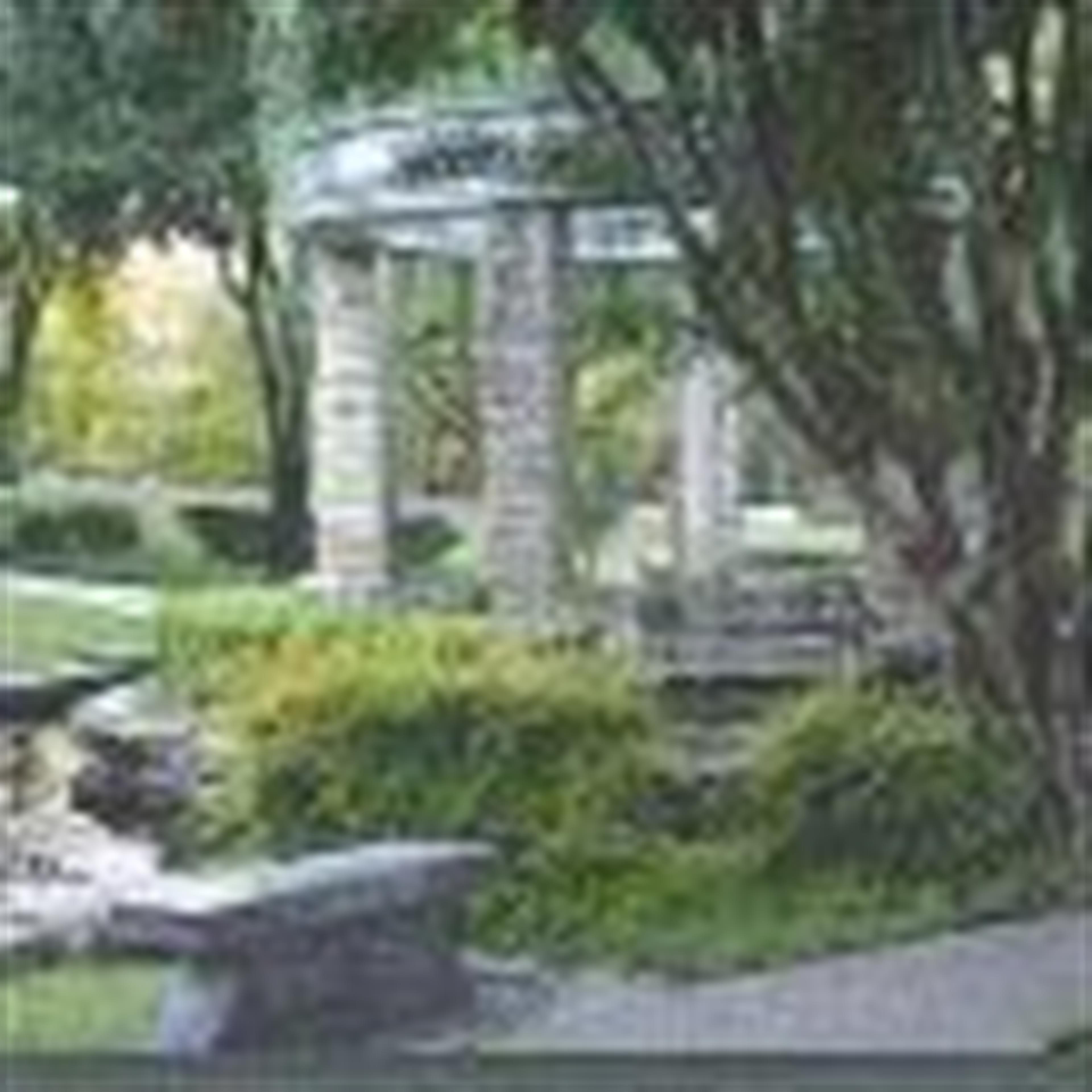 Cathy Dineen Hale's obituary picture