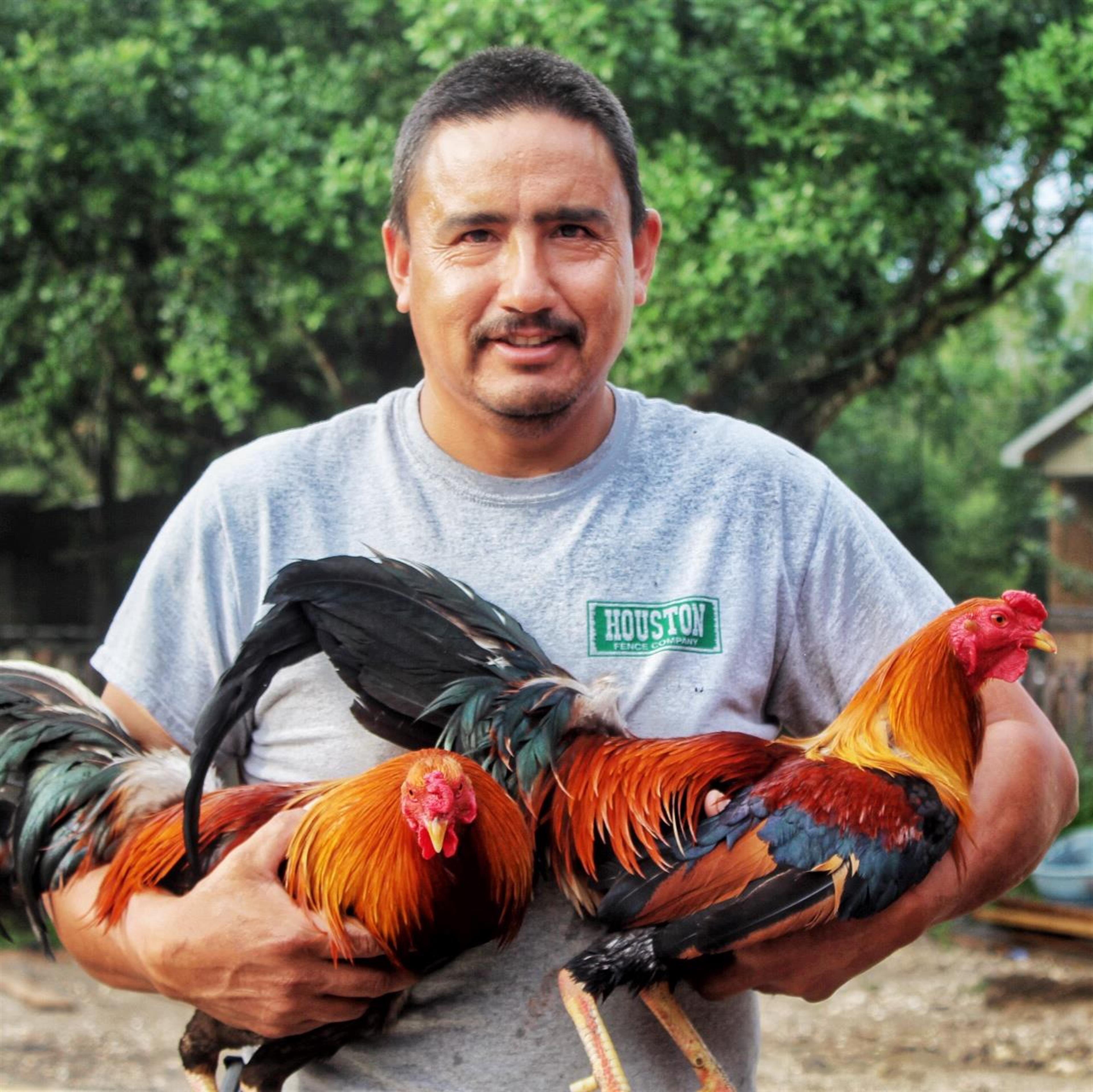Rodolfo Torres Sanchez