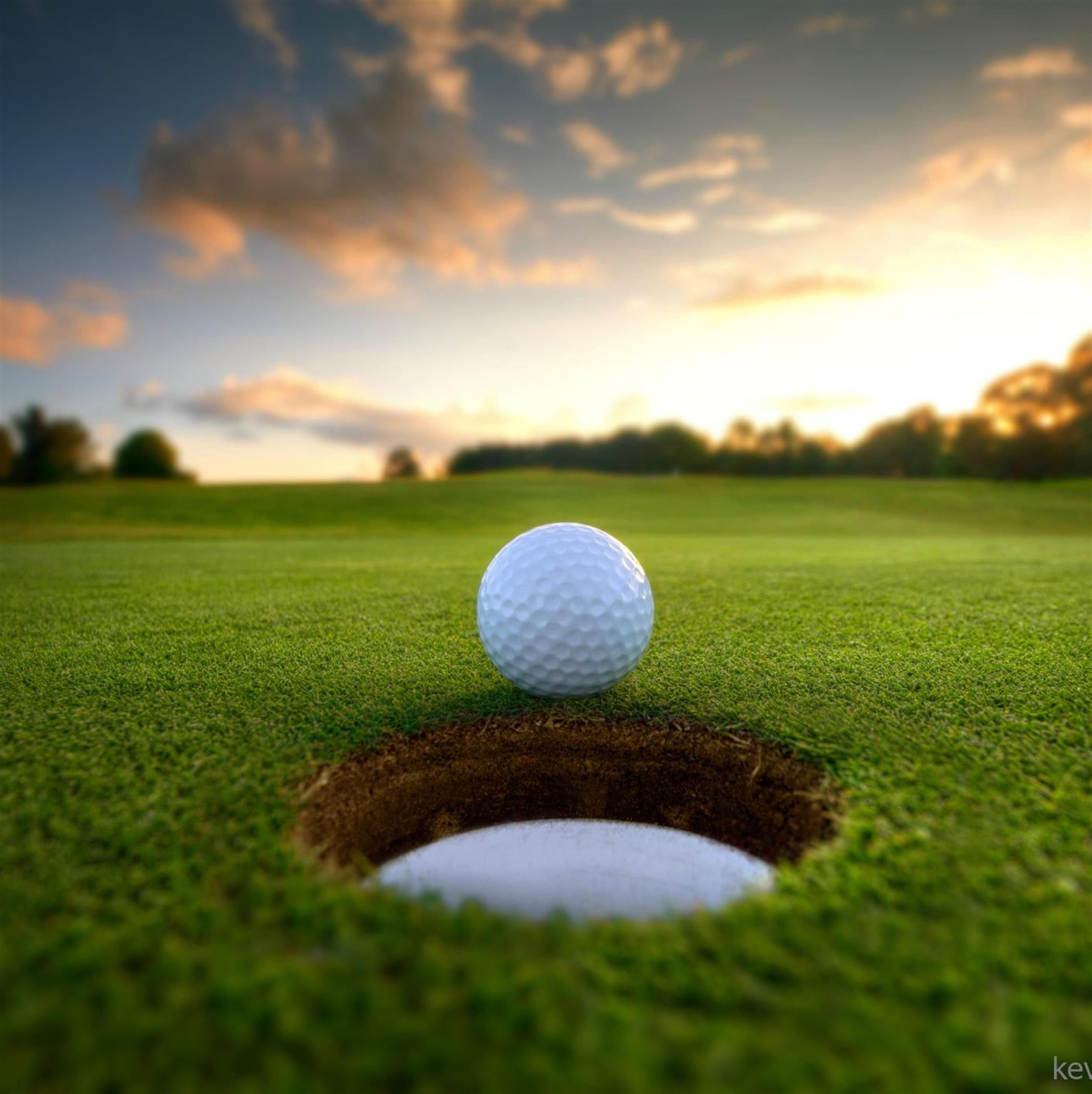 Danny Roth's obituary picture