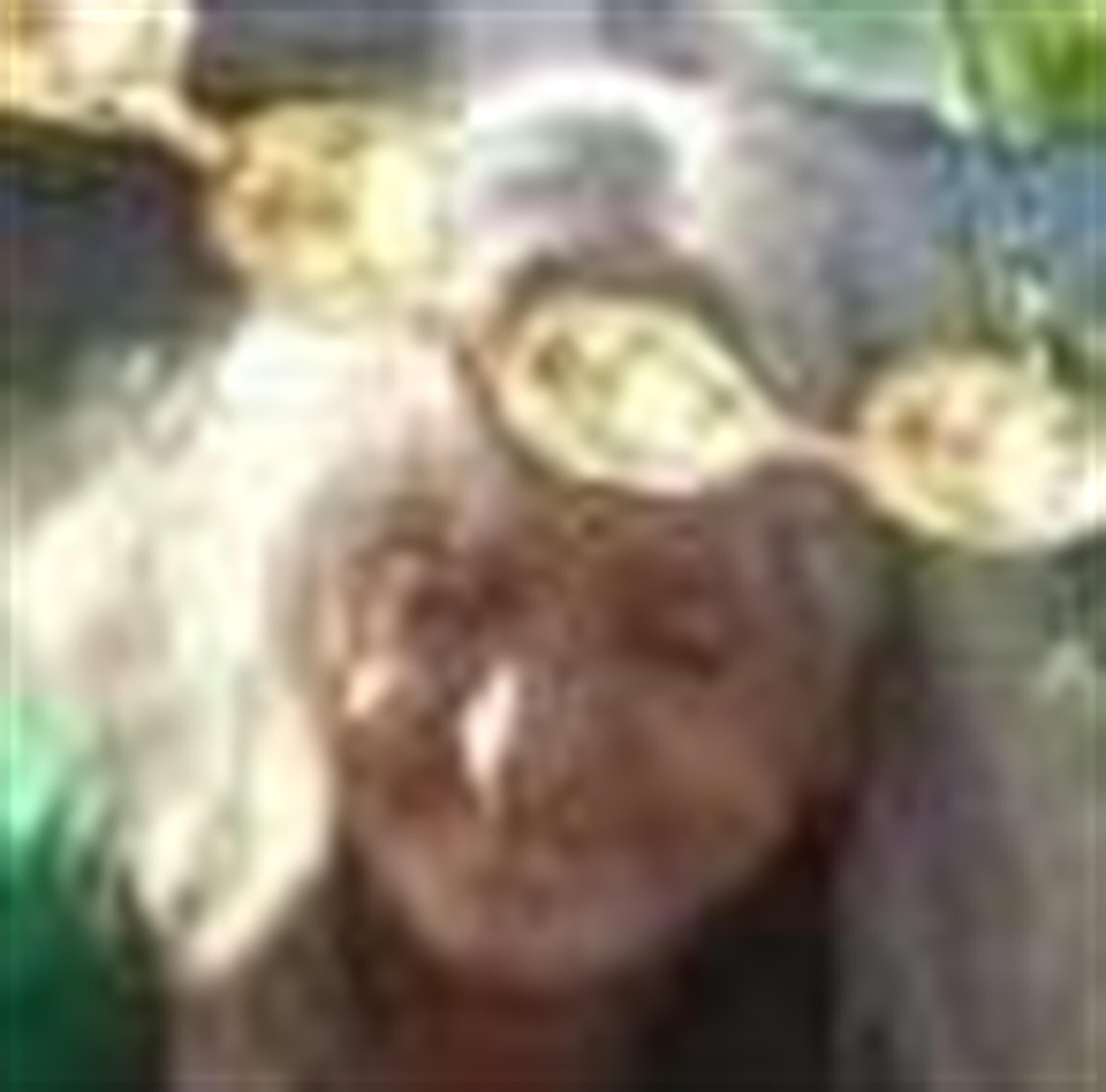 Pauline Callahan Whidden